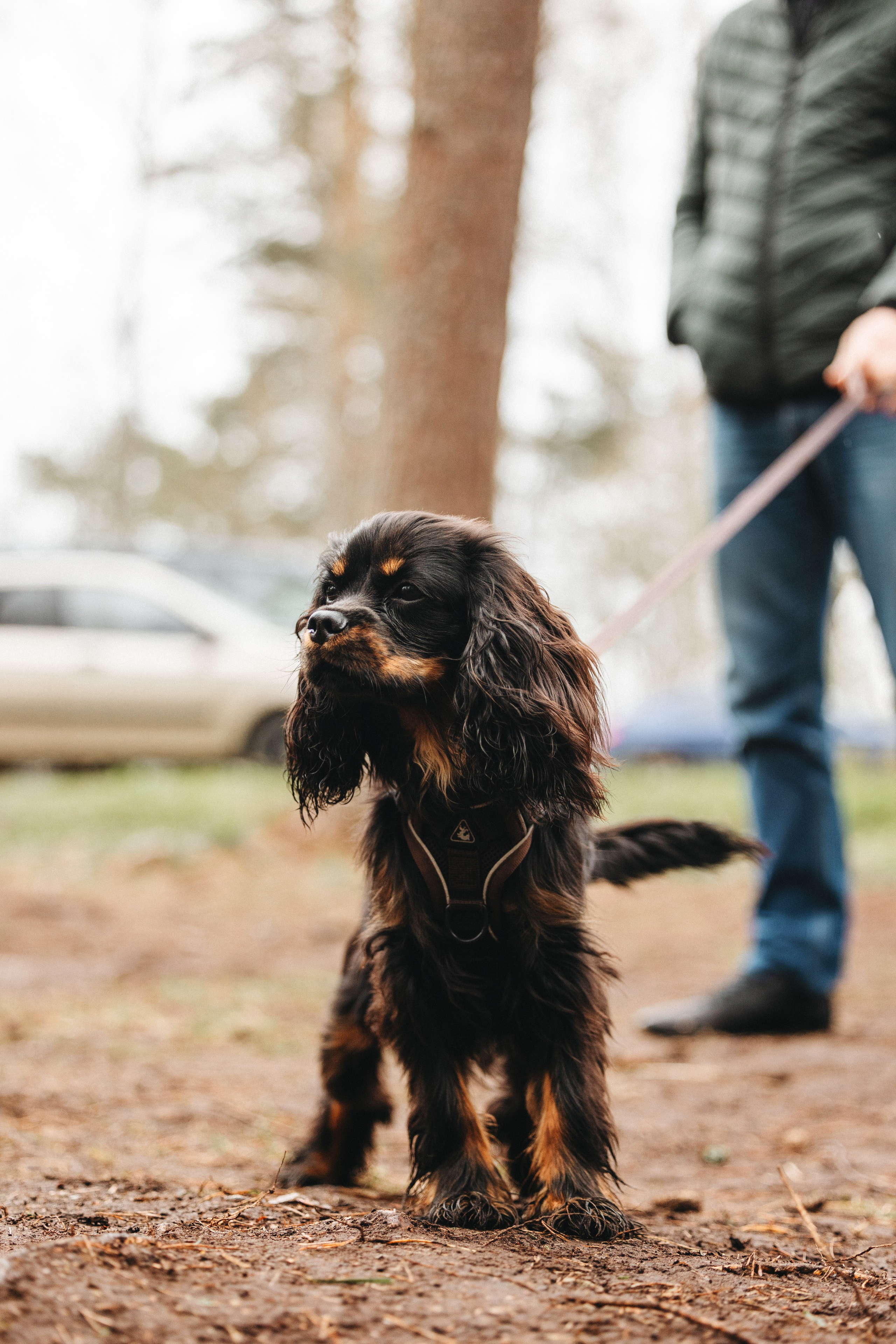 Встреча ККЧС. Фотограф анималист Осипчикова Мария