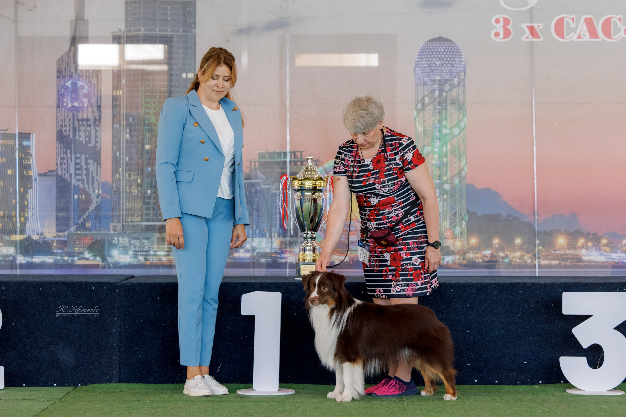 Батуми 3хCACIB 27-29.06.2025. Фотограф-анималист Юлия Германика