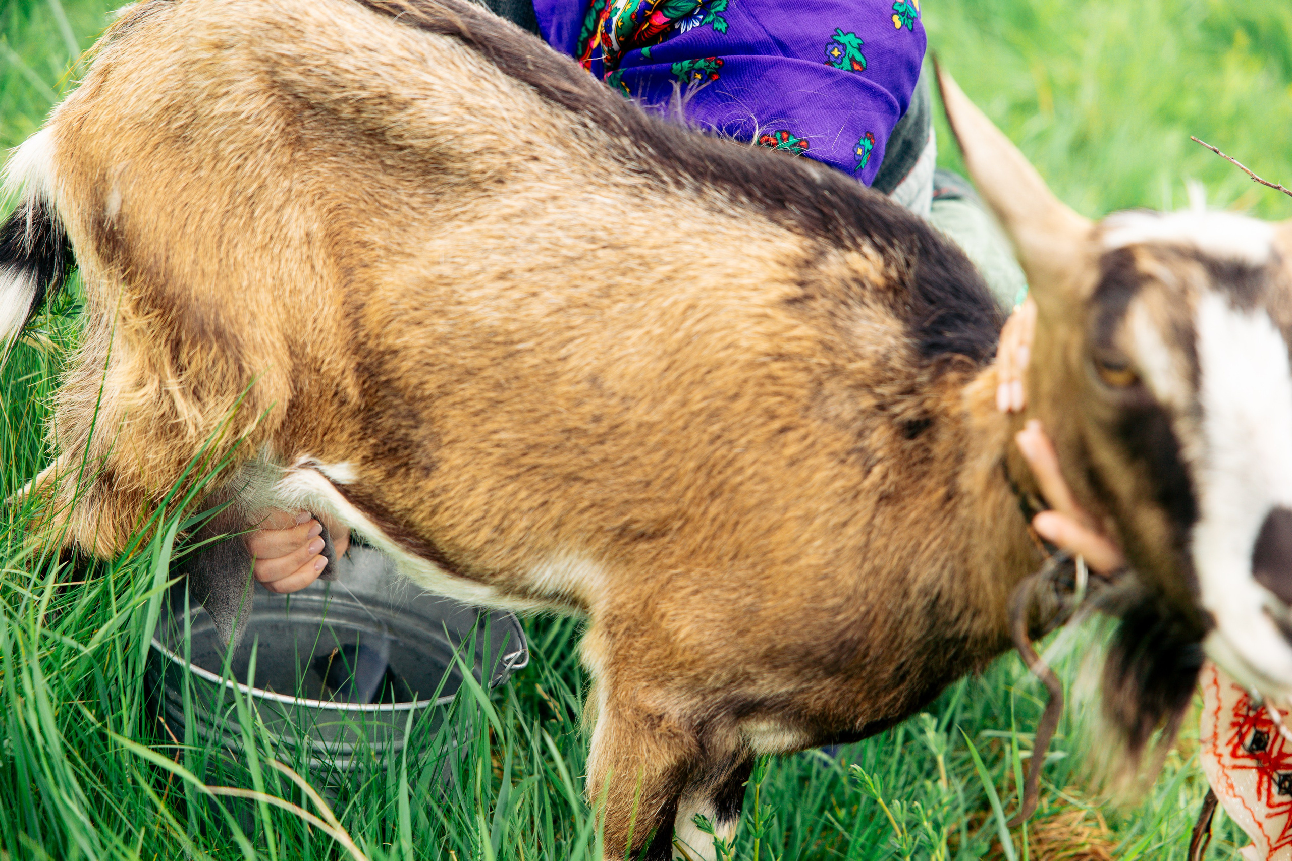 ХОЛОП -тематический праздник. Свадебный фотограф Минск РБ