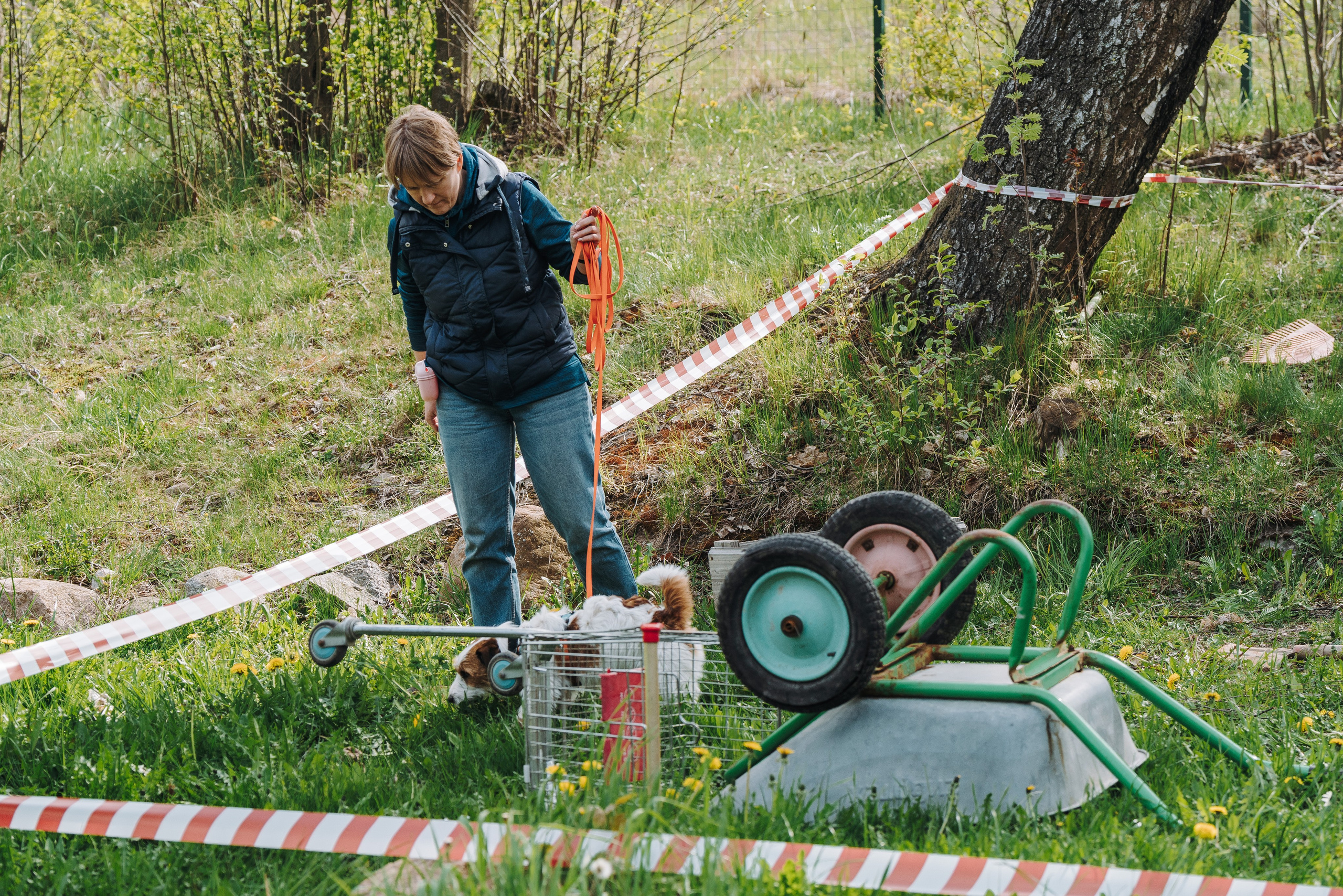 Соревнования по ноузворку в Лосево. Фотограф анималист в Спб недорого Олеся Майорова