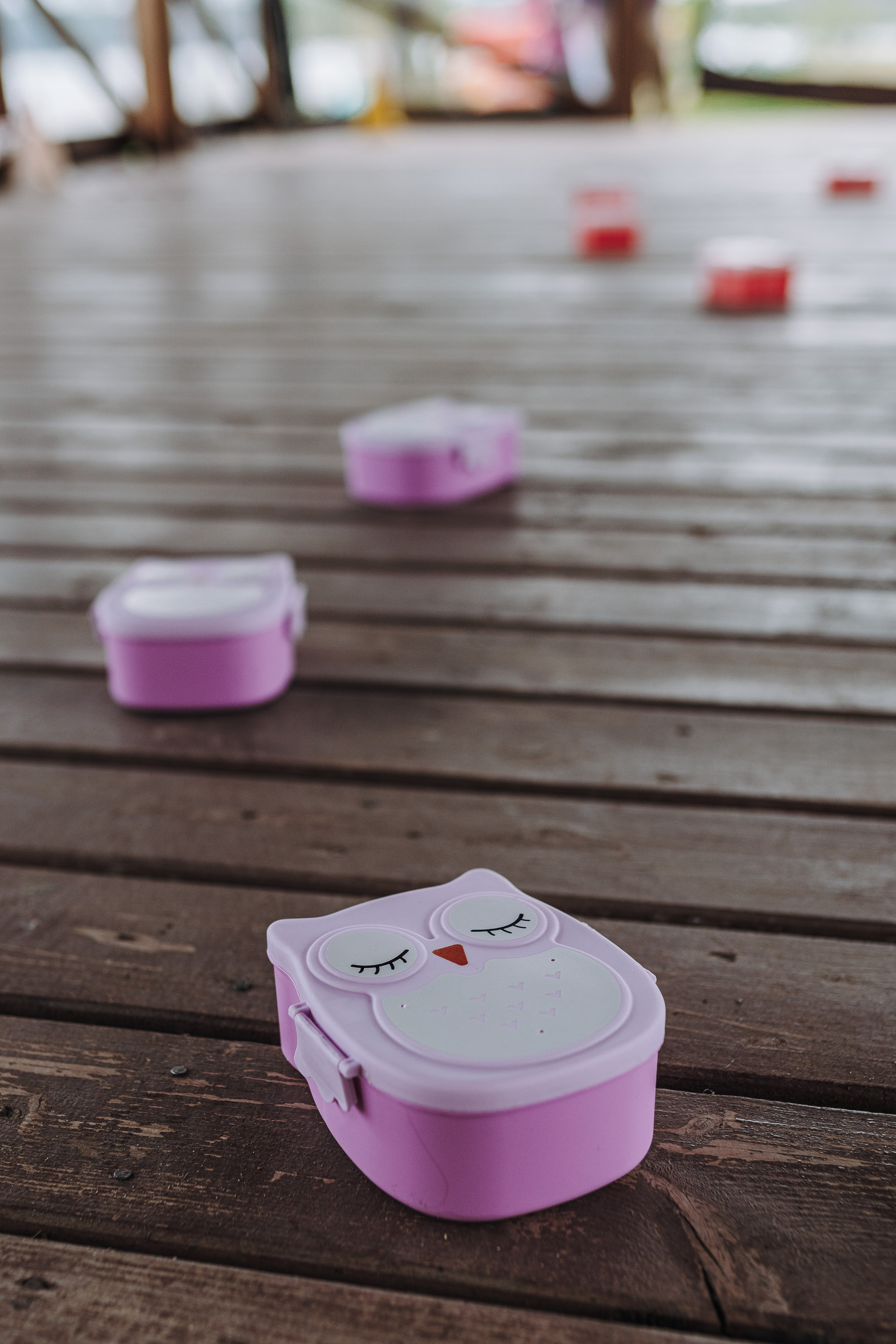 Соревнования по ноузворку в Лосево. Фотограф анималист в Спб недорого Олеся Майорова