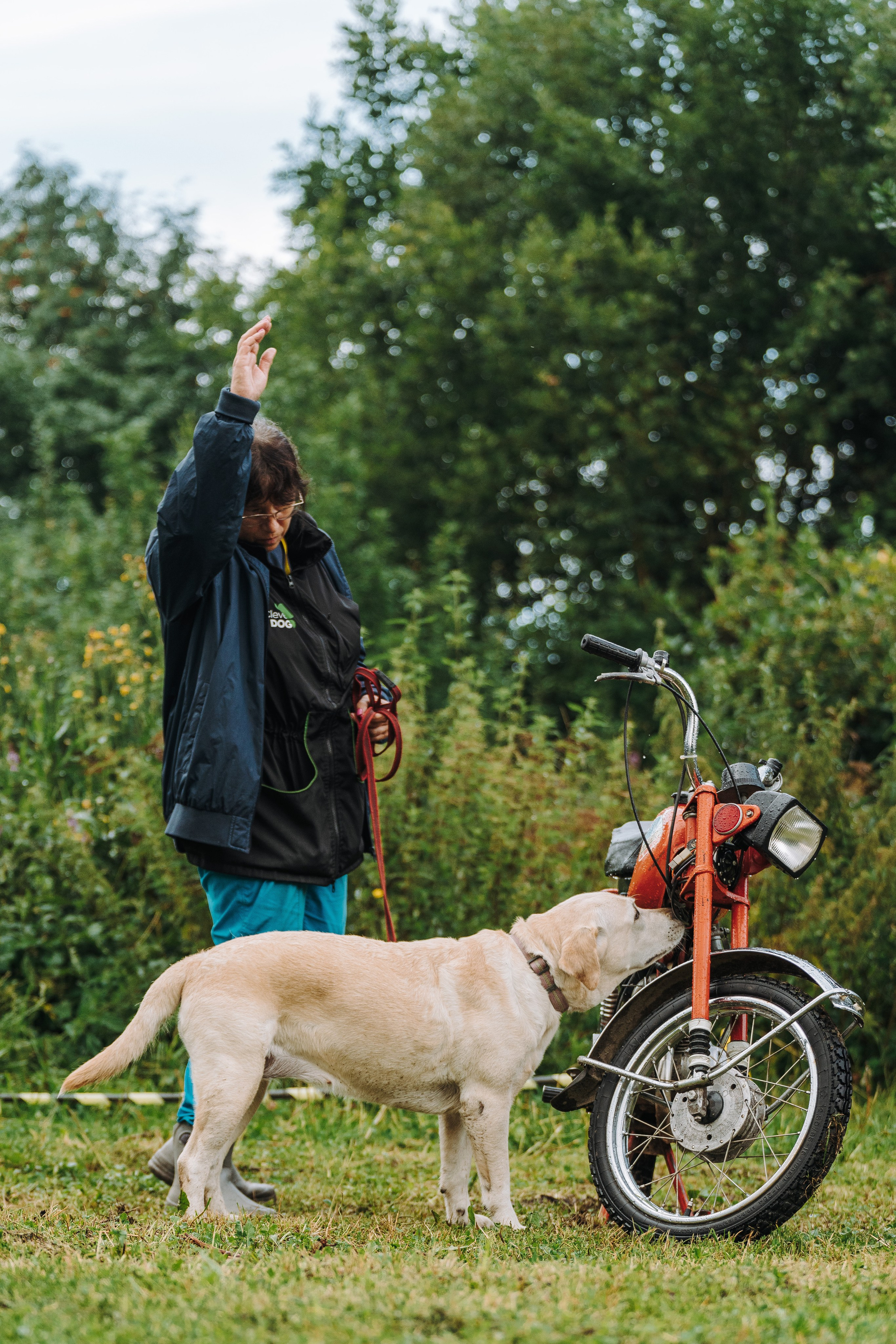 Соревнования по ноузворку в Новожилово. Фотограф анималист в Спб недорого Олеся Майорова