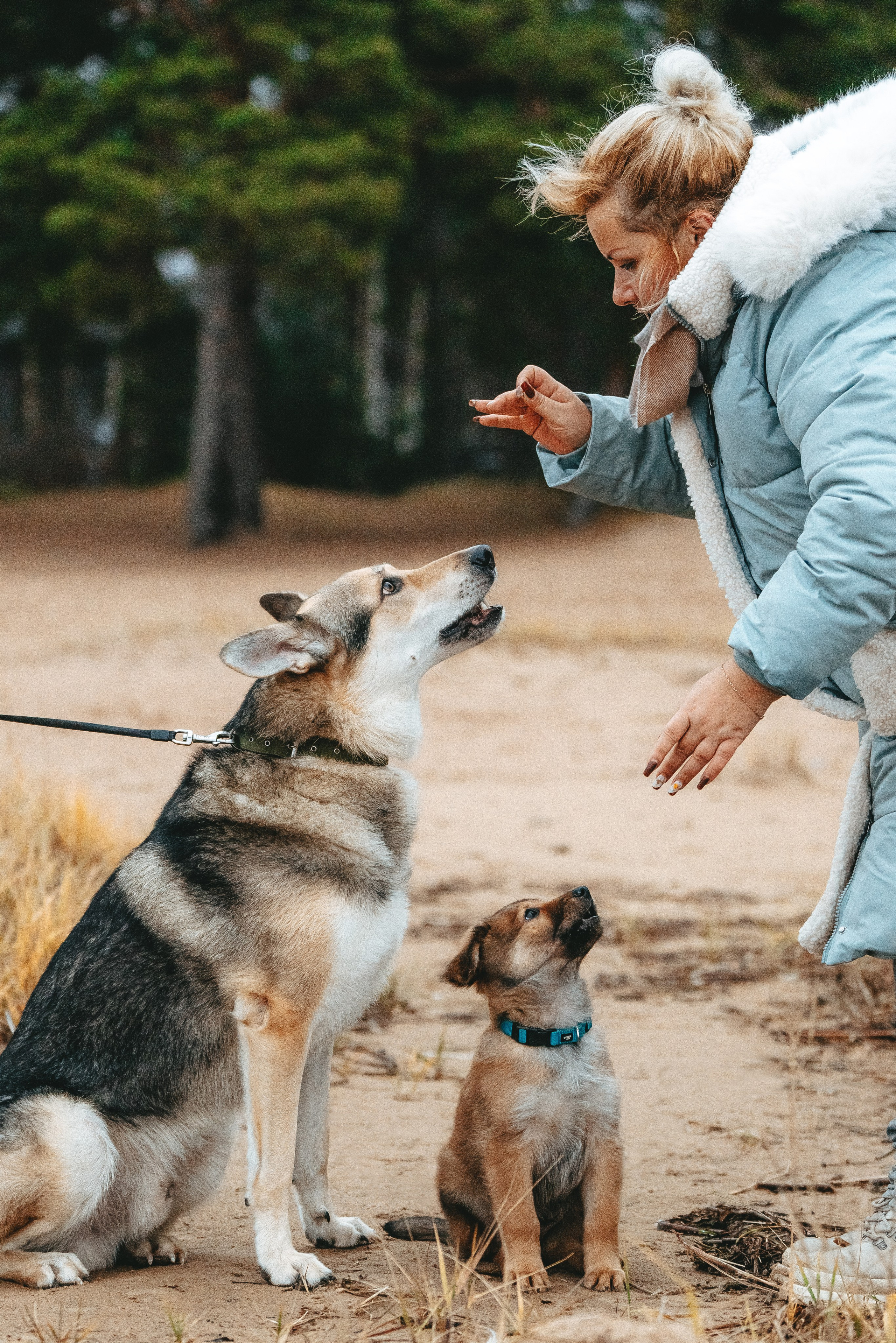 Малыш Кузя и его семья. Фотограф анималист в Спб недорого Олеся Майорова