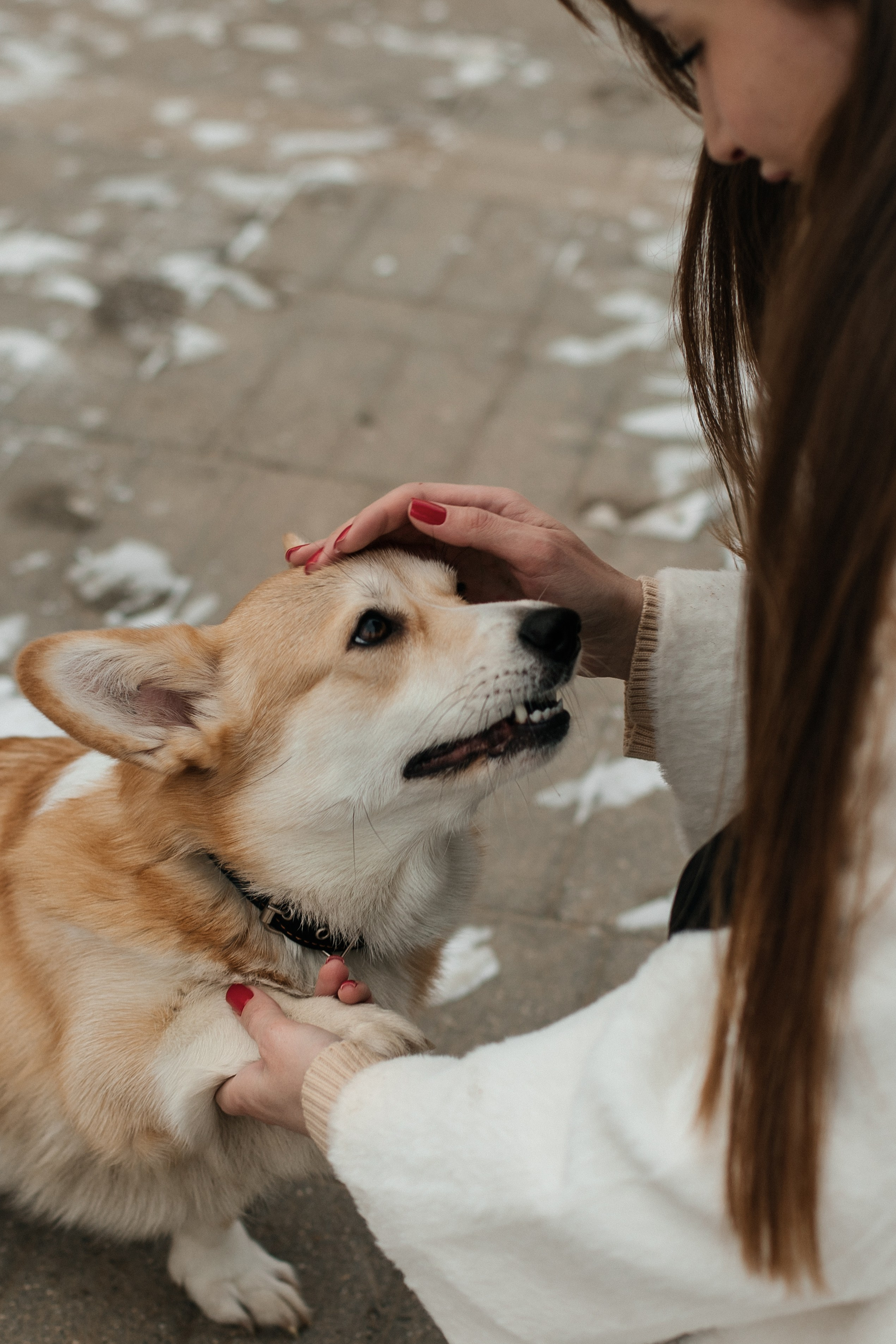 Прогулочная. Семейный фотограф в Нижнем Новгороде Куренкова Юлия
