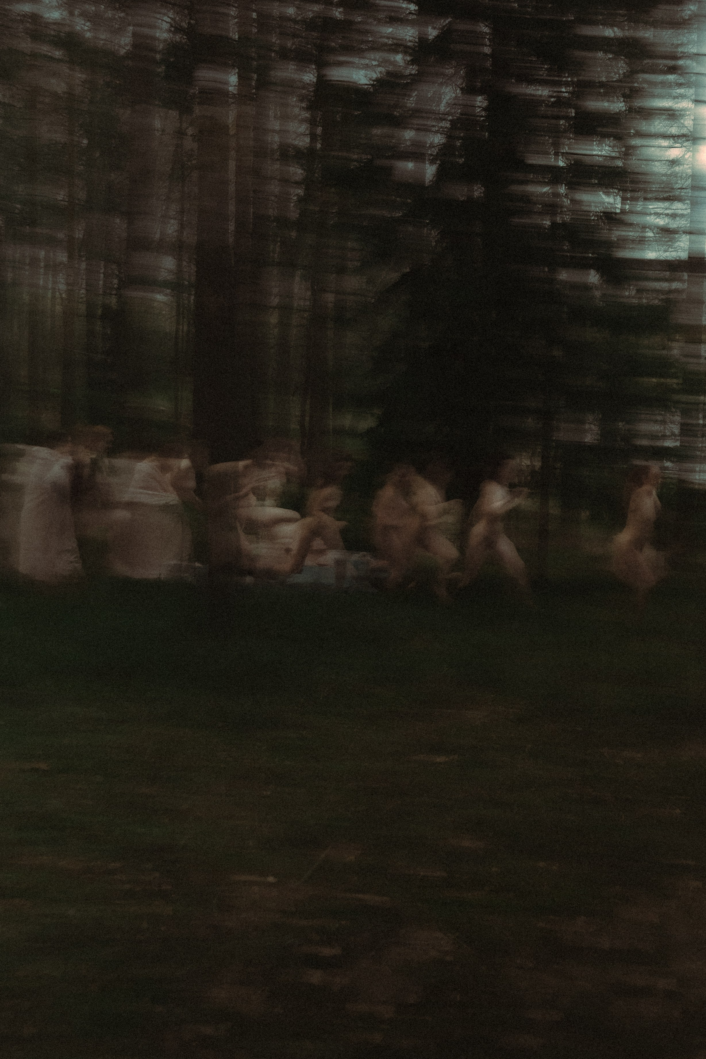 Дикие корни. Художественный фотограф СПБ, Дубай