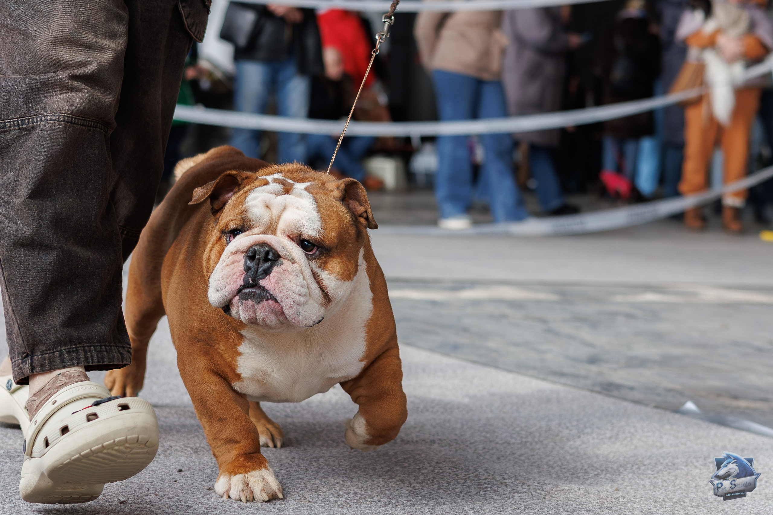 Выставки. Фотограф Марк Файзулин