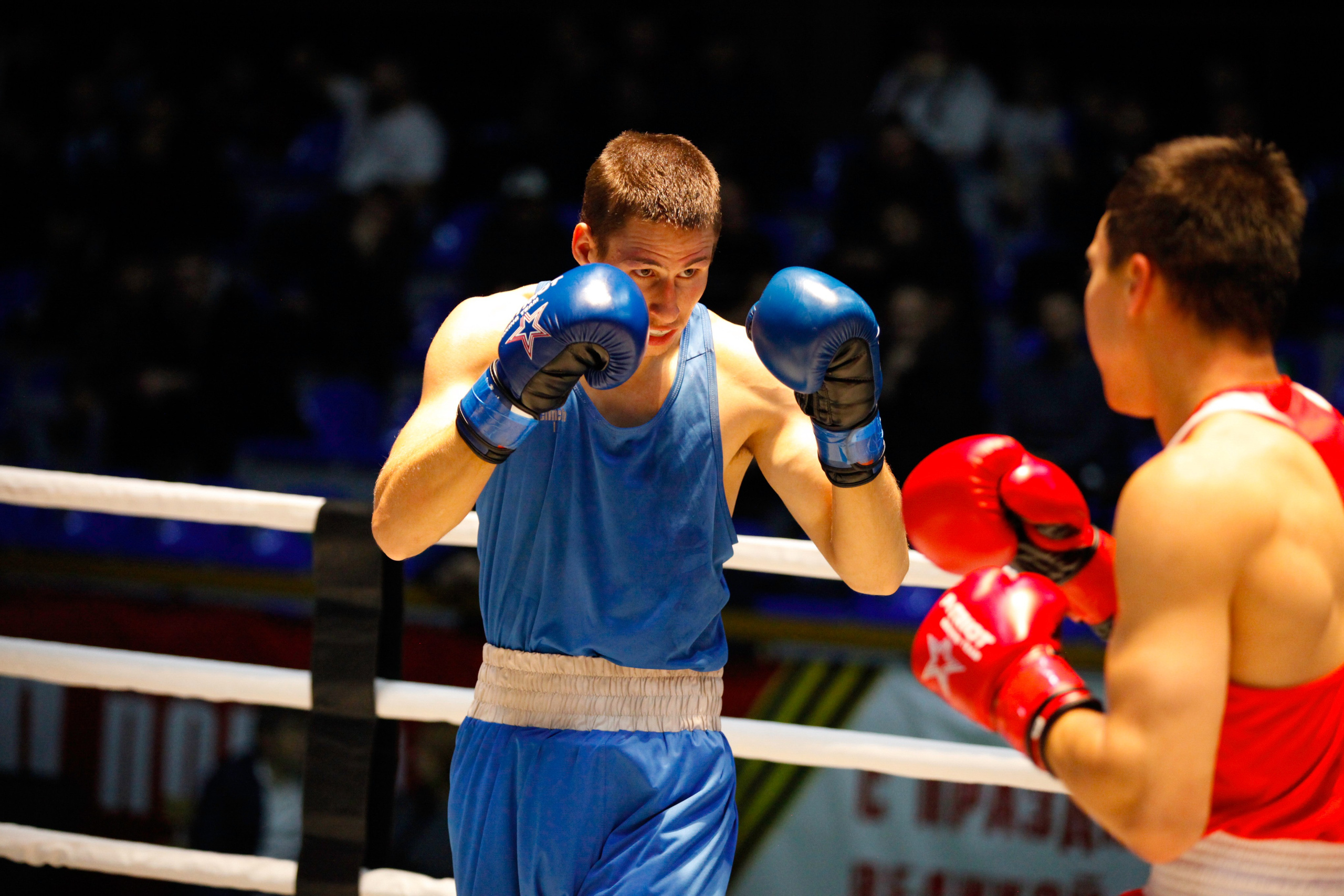 БОКС. Фото. Спортивный фотограф, трансляция, звук и свет в Новосибирске