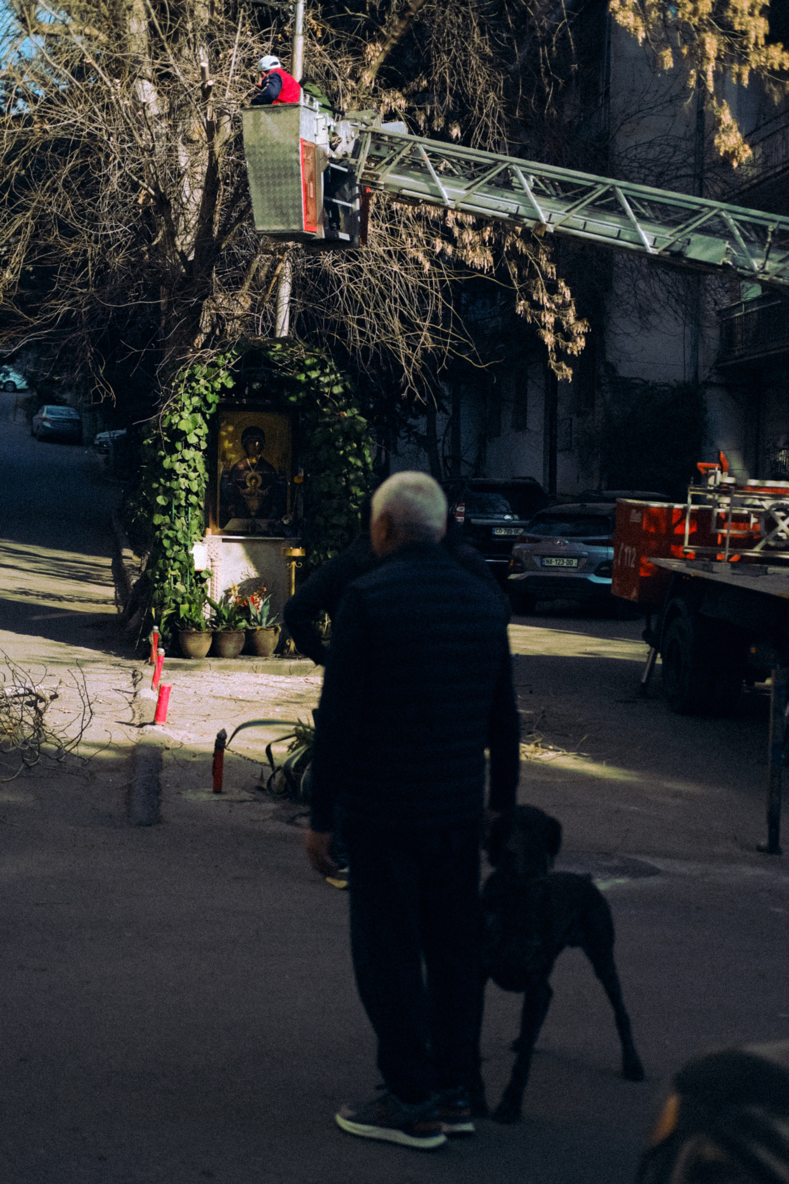 Городская и домашняя съемка в Тбилиси/ Алина и Гриша/ Или фотоблог из спального района. Photographer Tbilisi