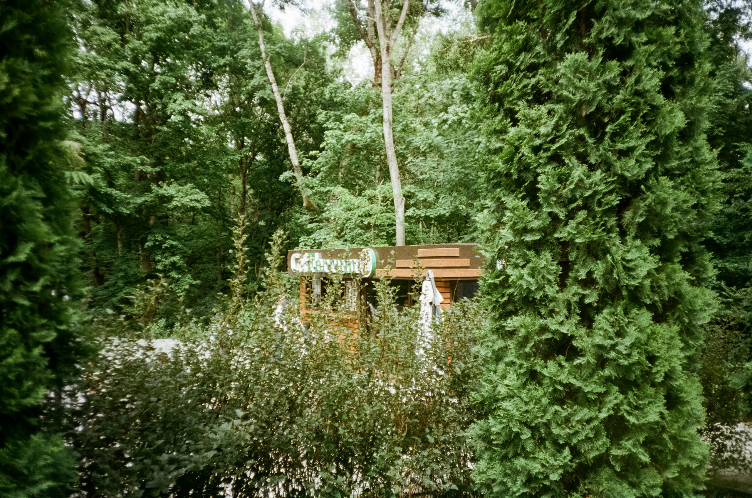 Курортное озеро и бювет-книга. Железноводск. Фотограф-документалист Мария Осокина