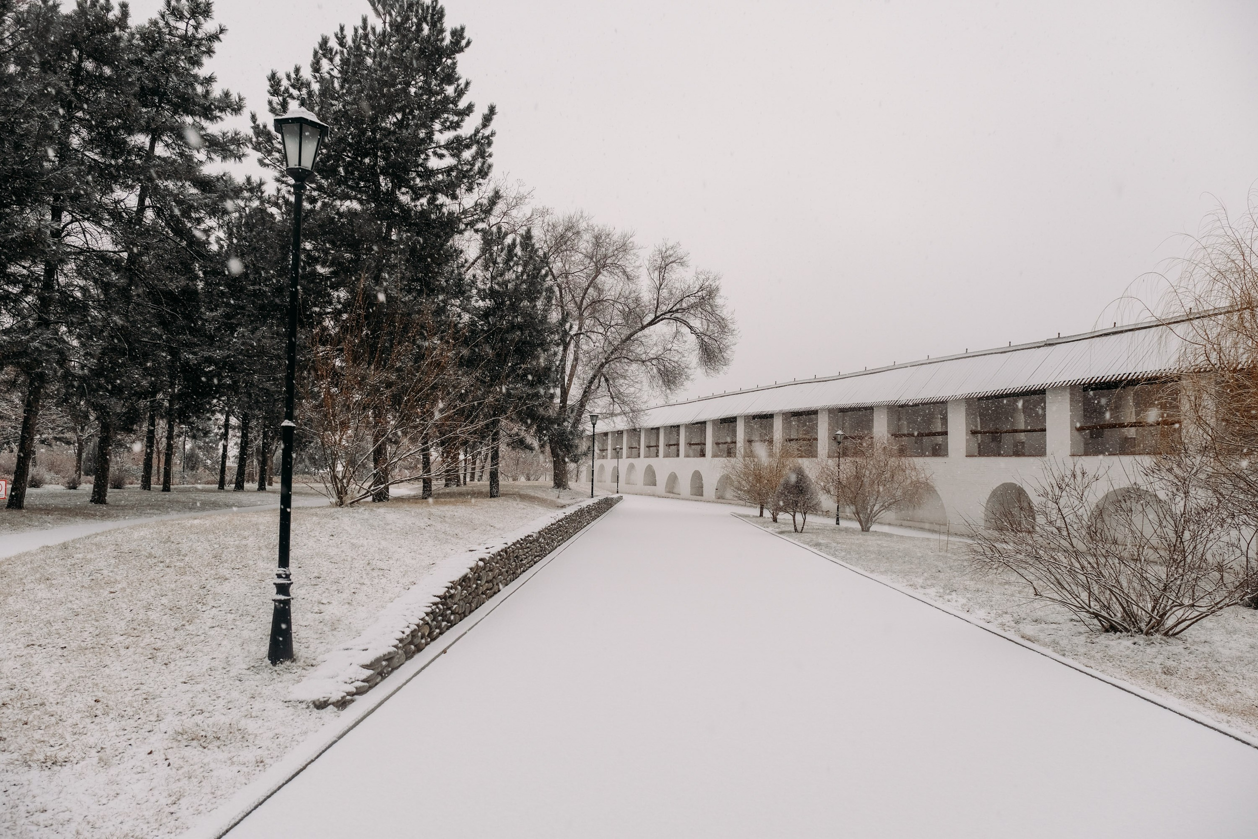 Снегопад. Фотограф Анатолий Деникин
