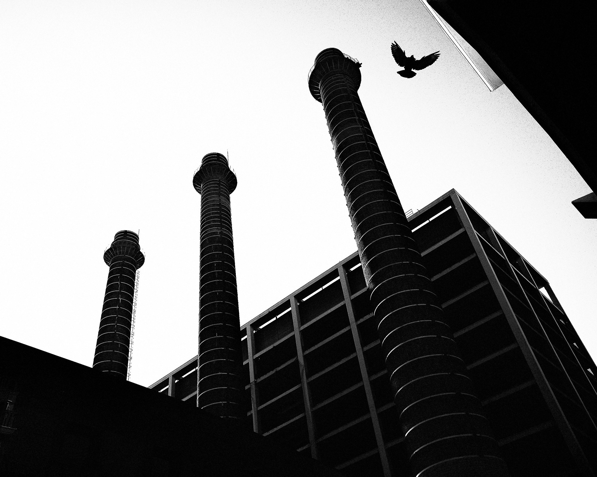 Street. Фотограф Санкт-Петербург / Москва