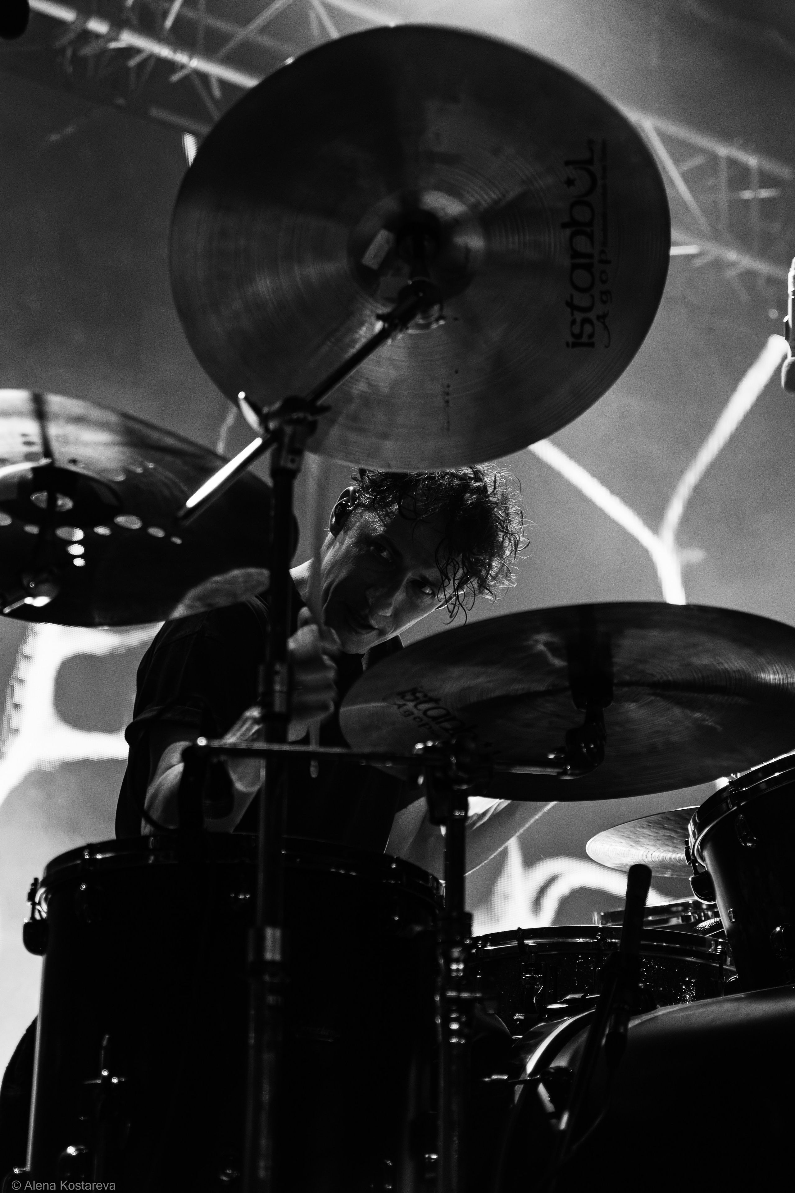 Dolphin. Алена Костарева. Фотограф в Ростове-на-Дону