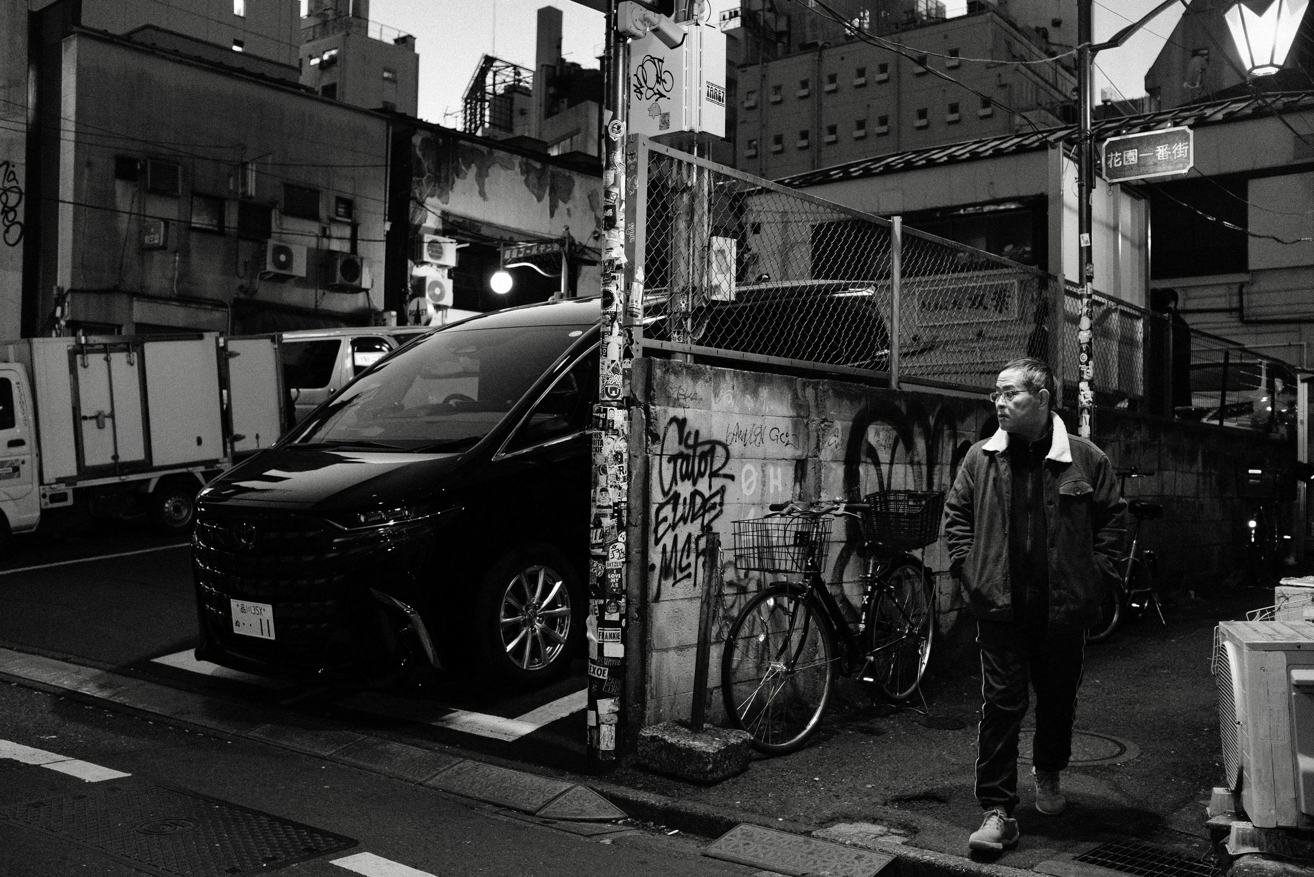 Faces of Tokyo. Regina Platonova