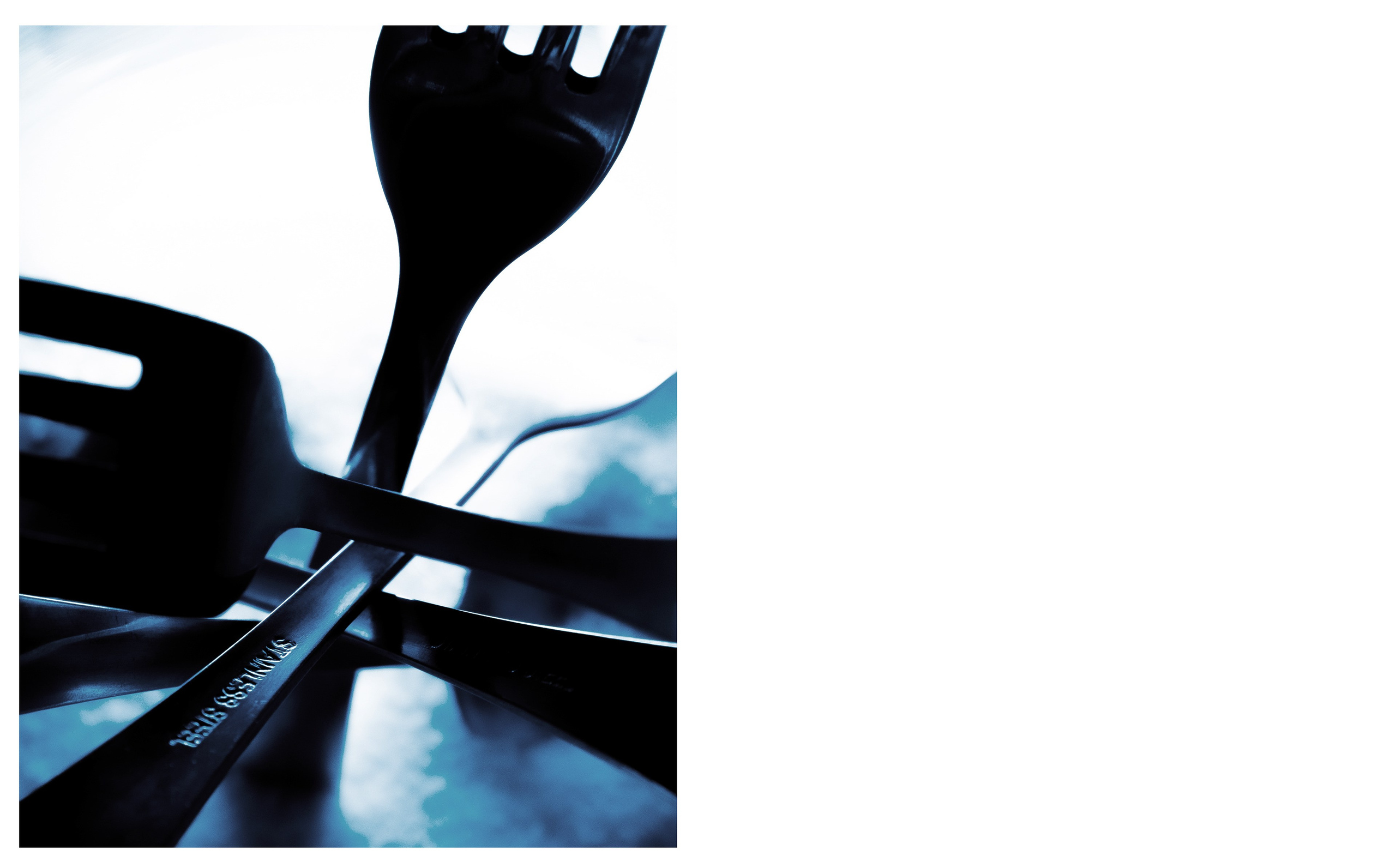 Forks. Коммерческий и fashion-фотограф в Санкт-Петербурге Олеся Поле