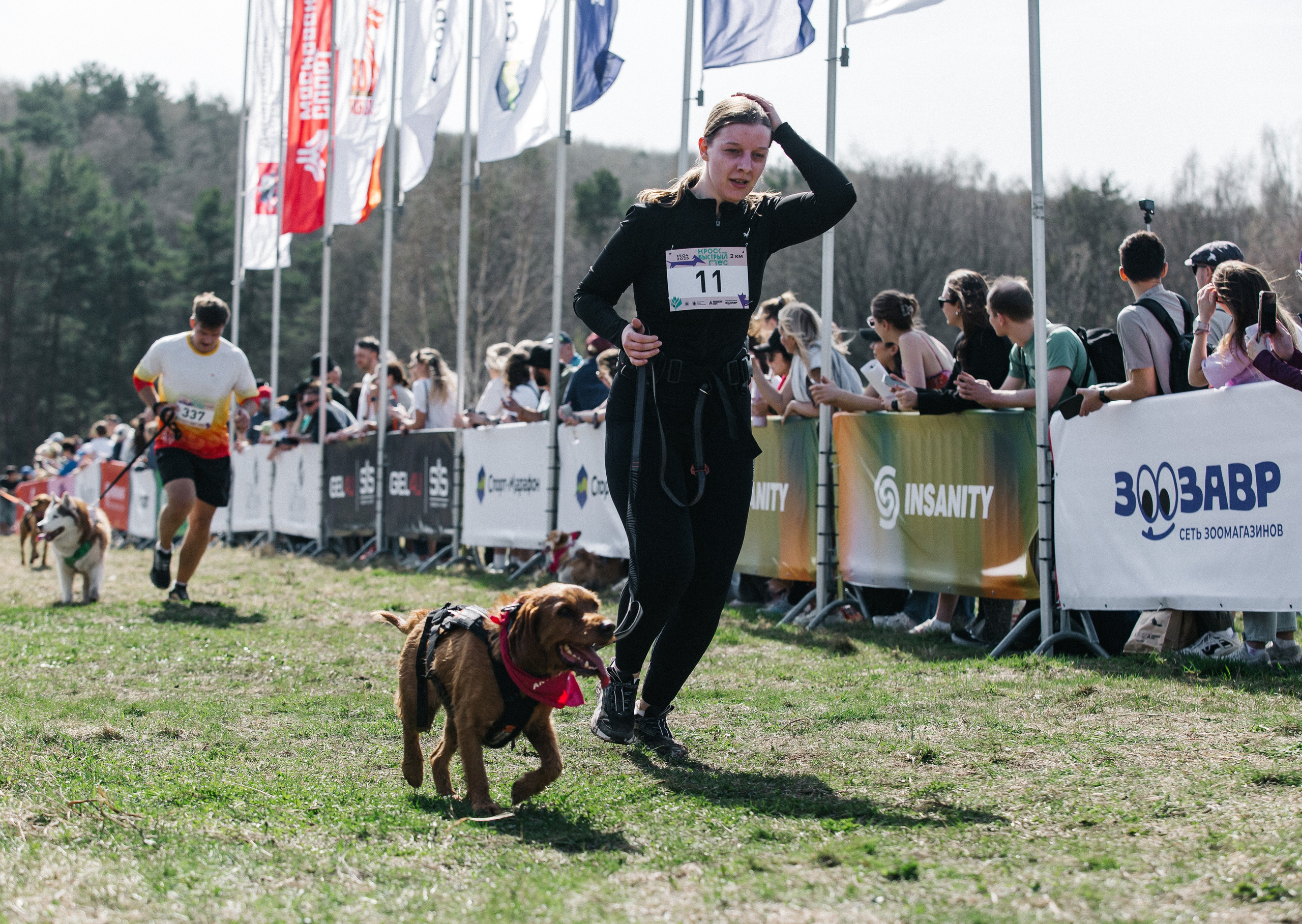 Кросс «Быстрый пёс» 2025. Репортажный фотограф в Москве