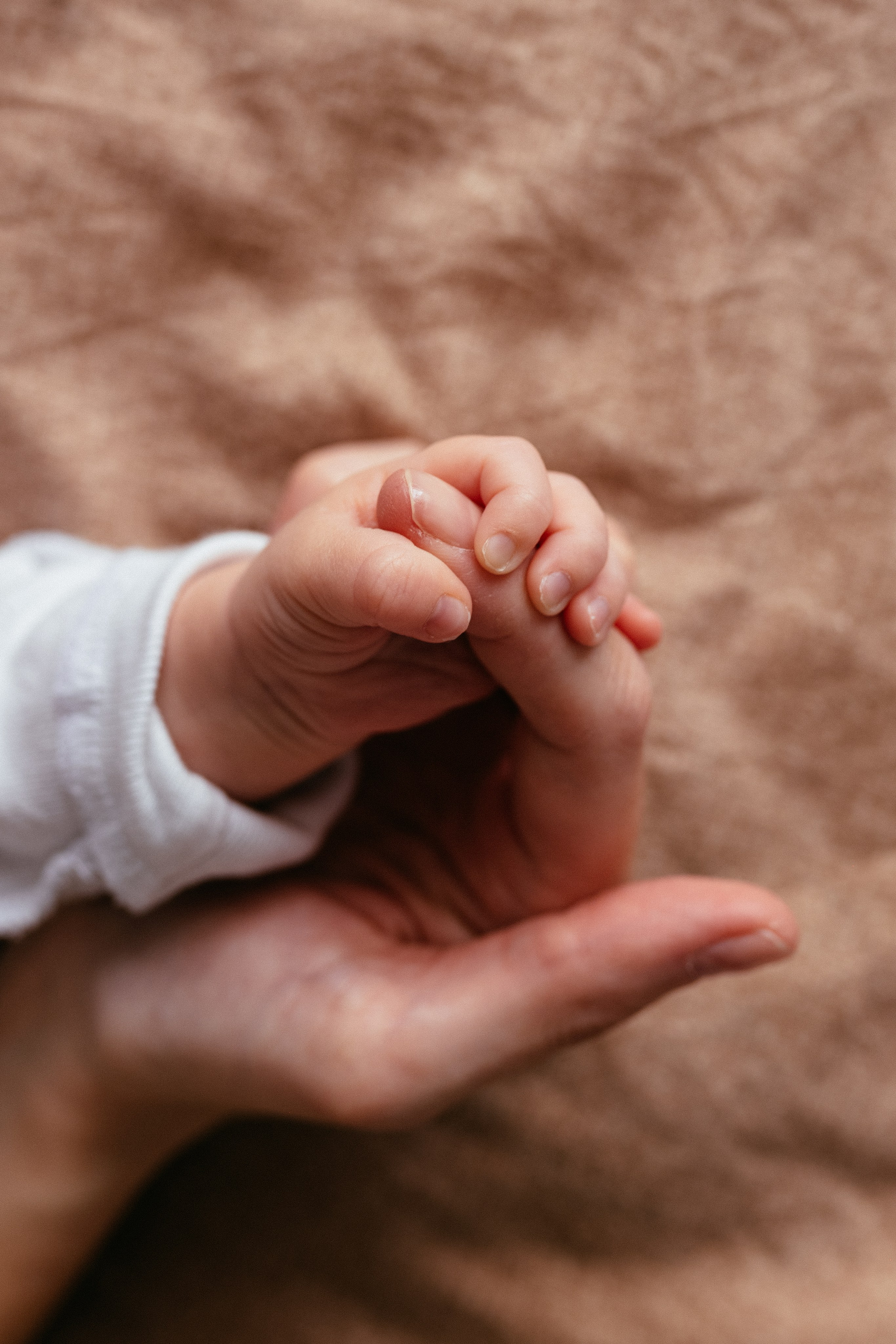 София | 1 месяц. Кобякова Мария. Фотограф новорождённых и детей до года город ИРКУТСК