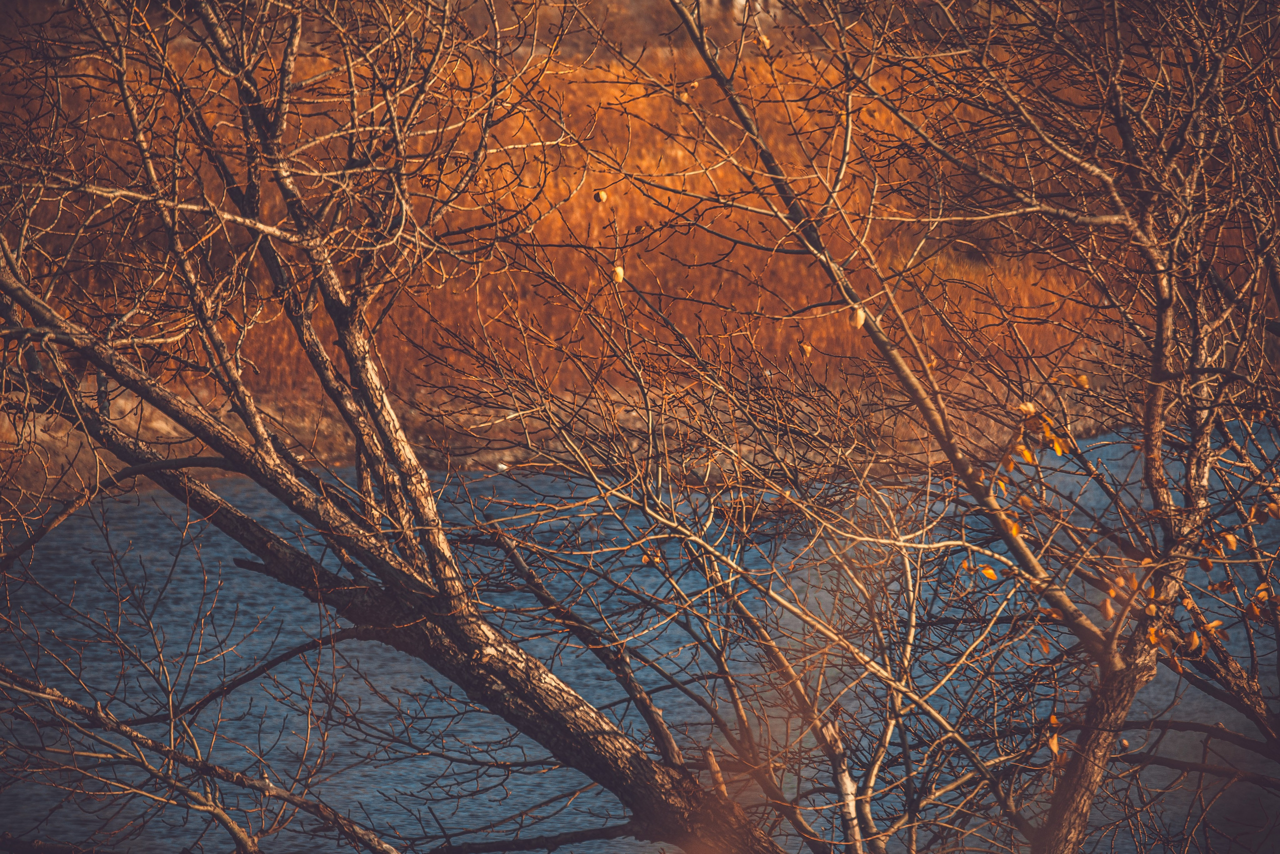 Разное. Профессиональный фотограф Церковных Таинств в Чите Ткачук Юлия