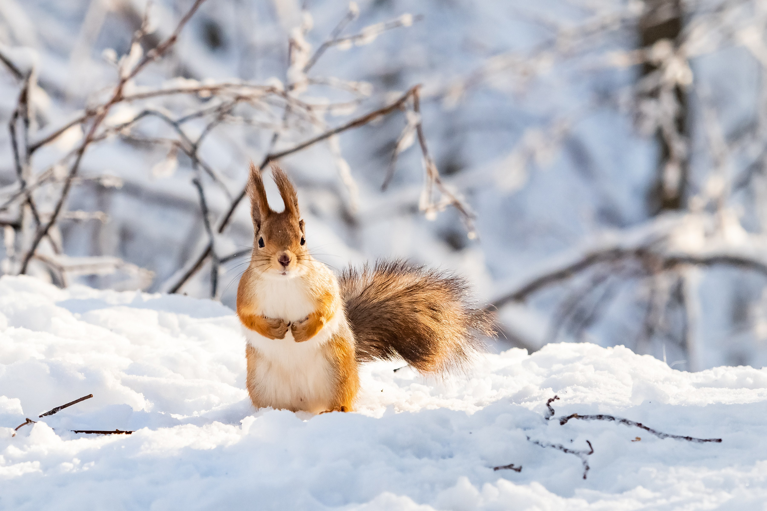Красота Заречного. Репортажный, семейный и детский фотограф в Пензе и Заречном Арина Ермилова. Картины барельеф на заказ