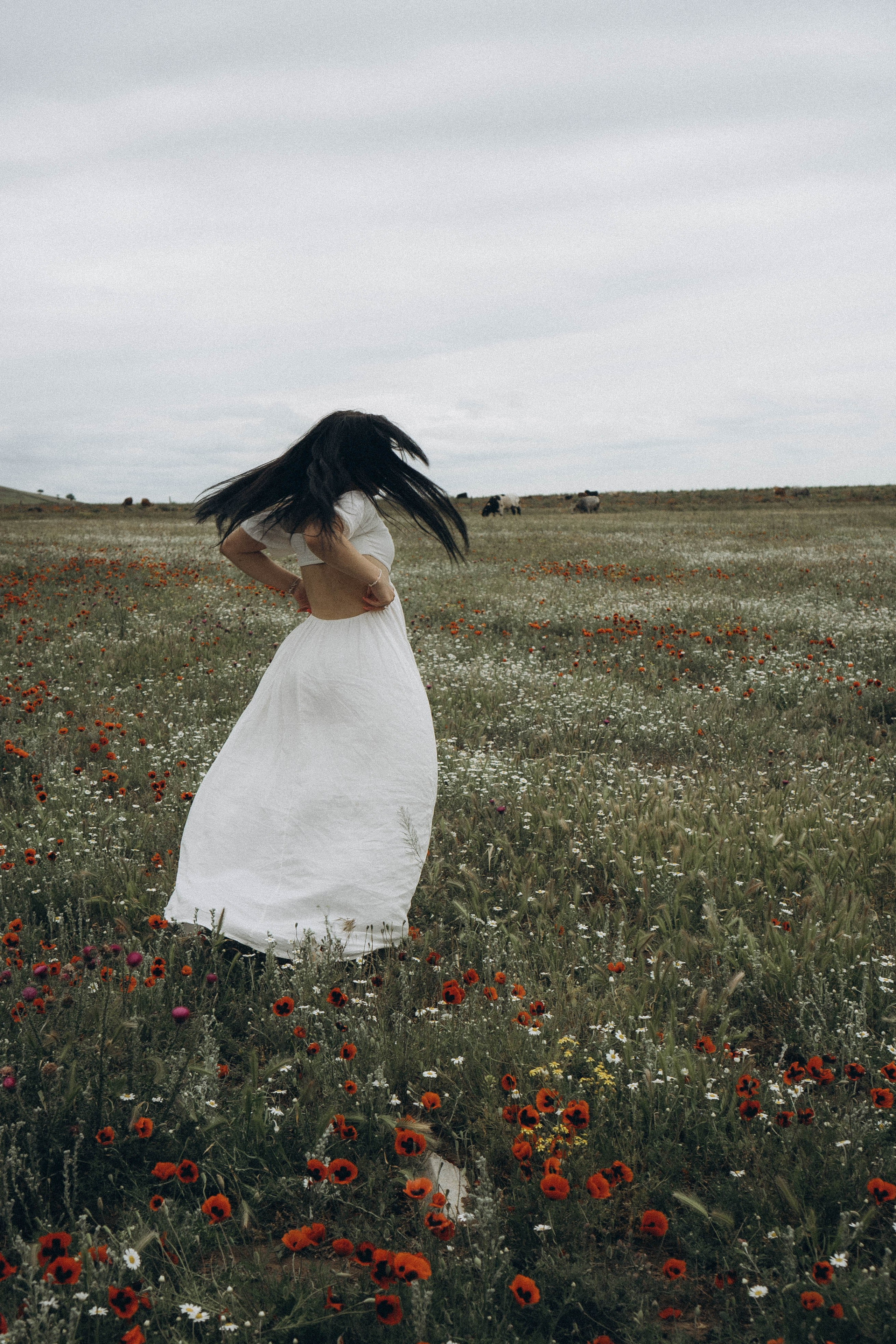 Маковое поле. Профессиональный фотограф, Санкт-Петербург — Виктория Богомолова