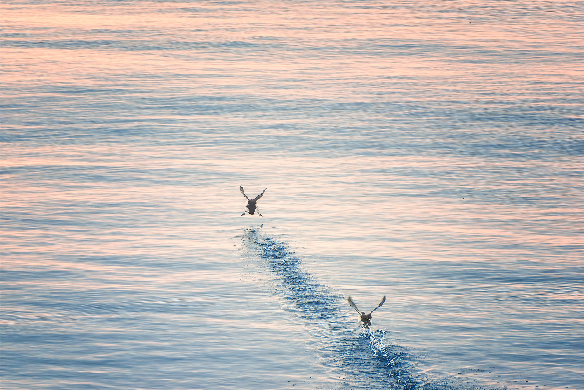 Арктика. Аэросъемка в Архангельске, Александр Ермолин