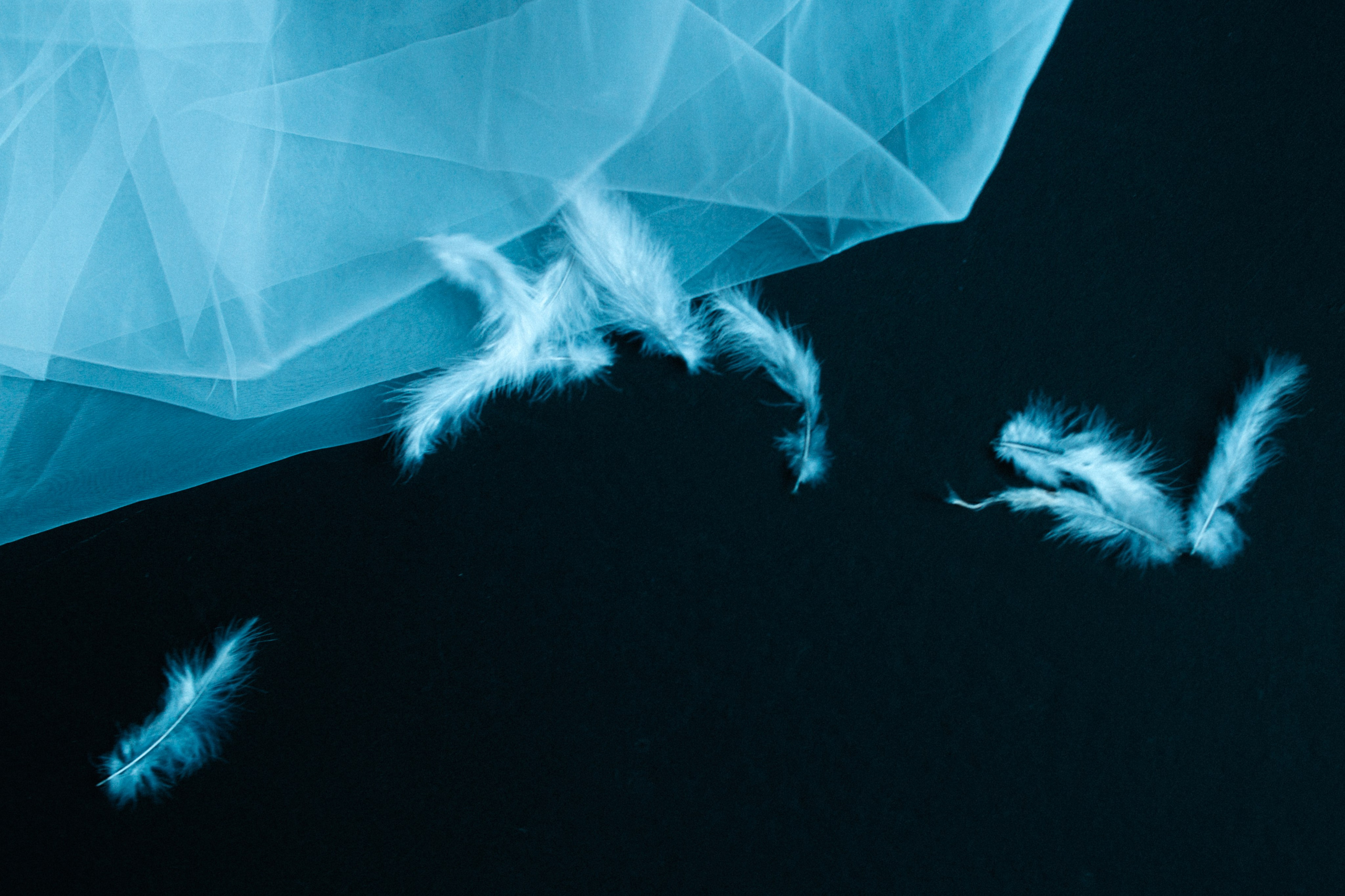 SWAN. Настоящие портреты и истории