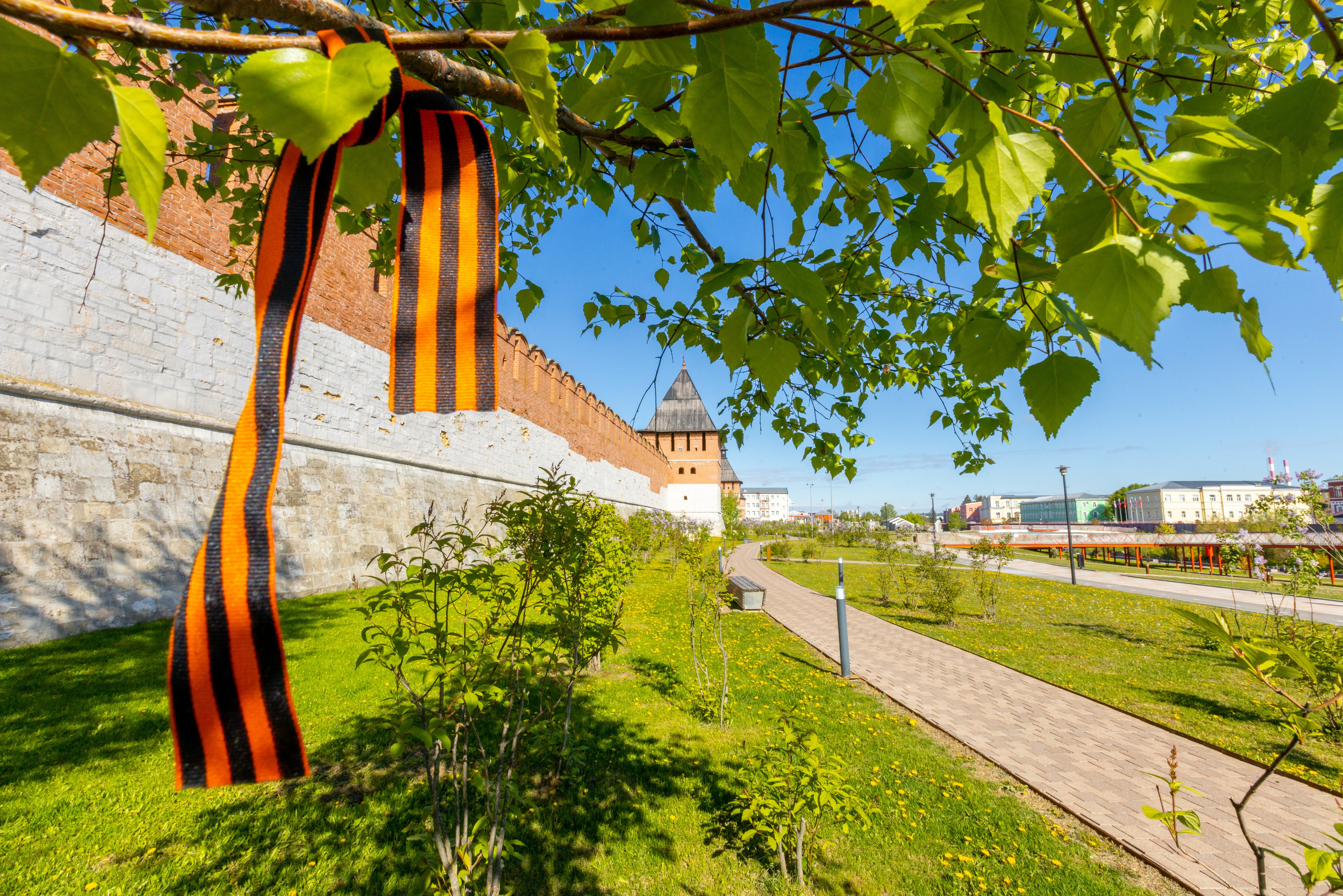Весеннее цветение в Туле. Фотограф в Туле Крупский АнДРей. Фотостудия «КАДР71» в Туле