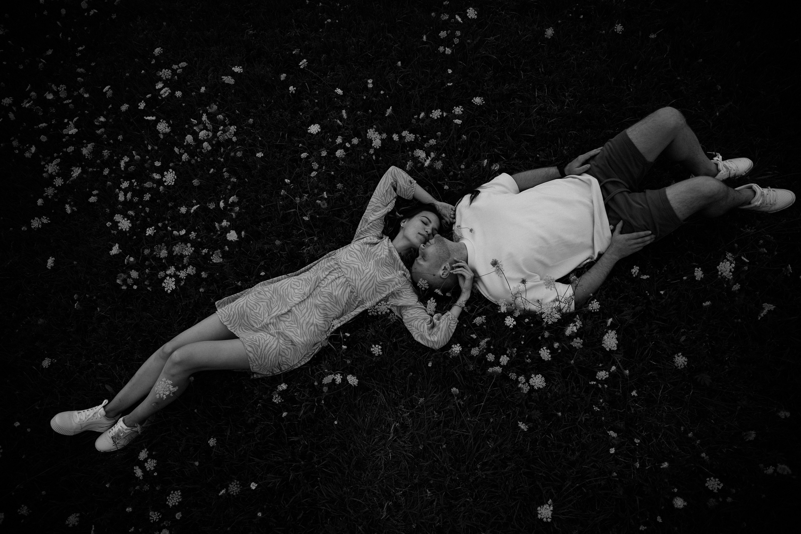 Подсолнухи. Dima Lemeshevsky