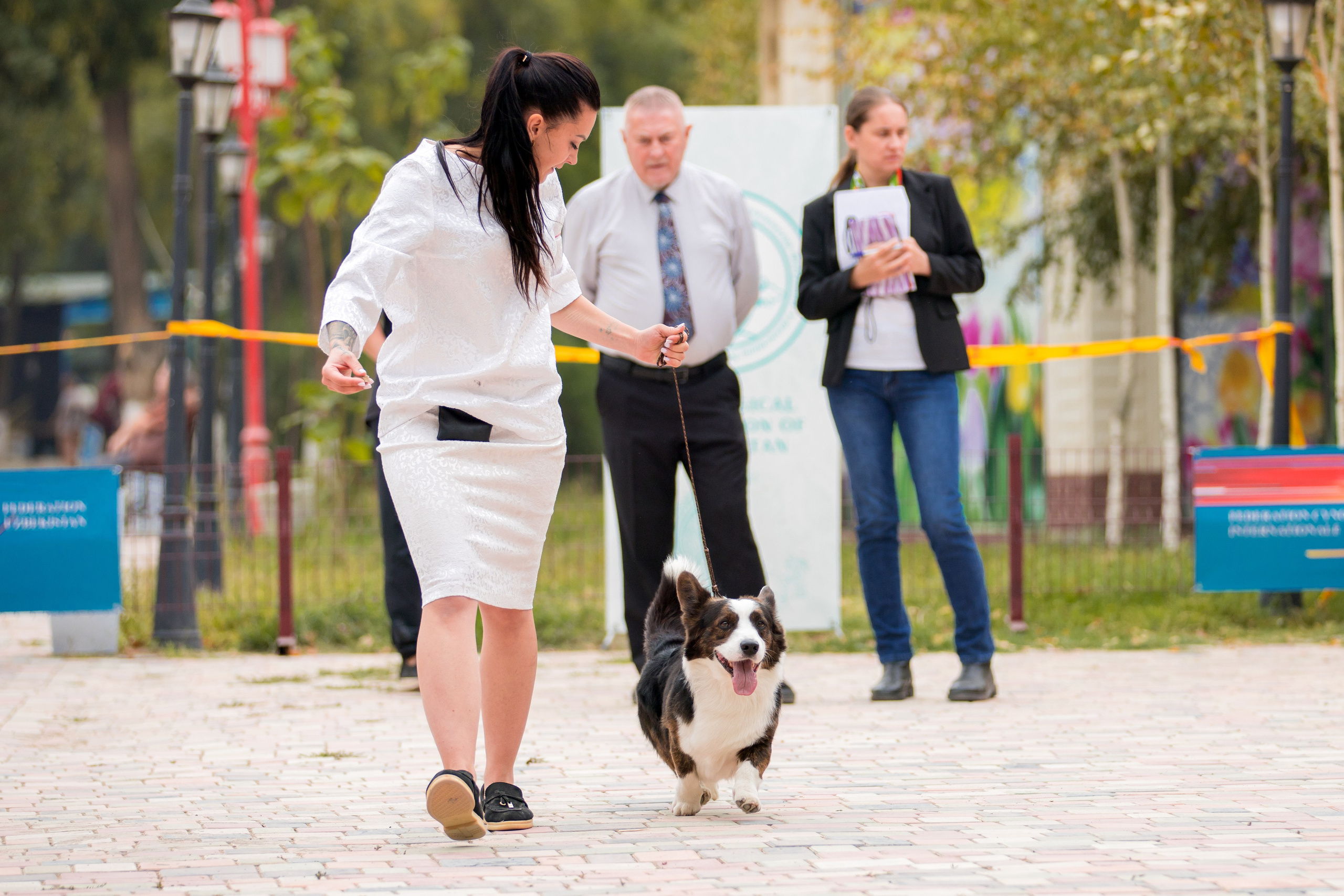 Ташкент 6-8.10.2023 + Алматы 14-15.10.2023. Фотограф-анималист Юлия Германика