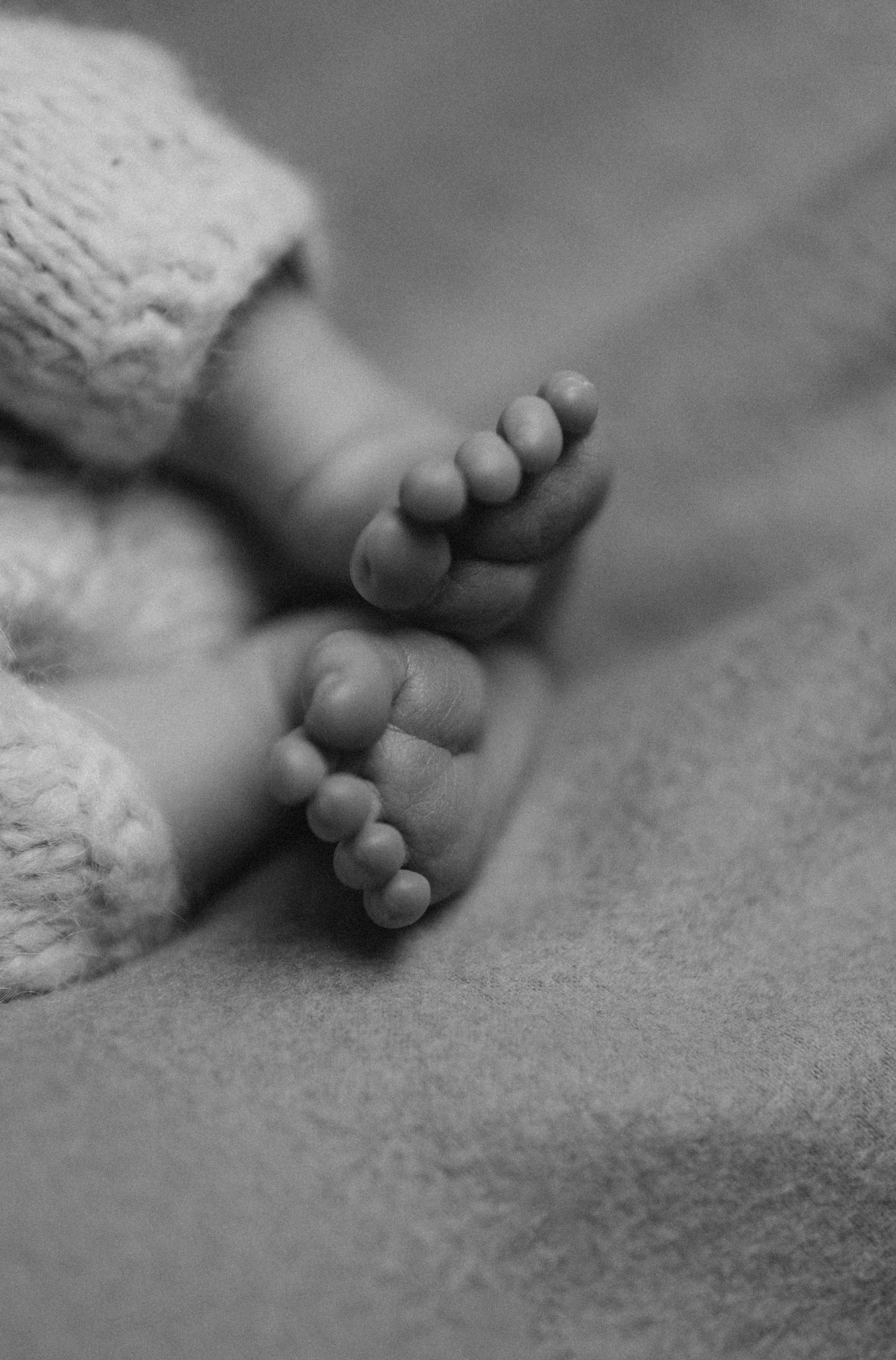 Фотосессия ньюборн, newborn Москва, фотосессия новорожденных. Ньюборн и детский фотограф в Москве Шигина Марина