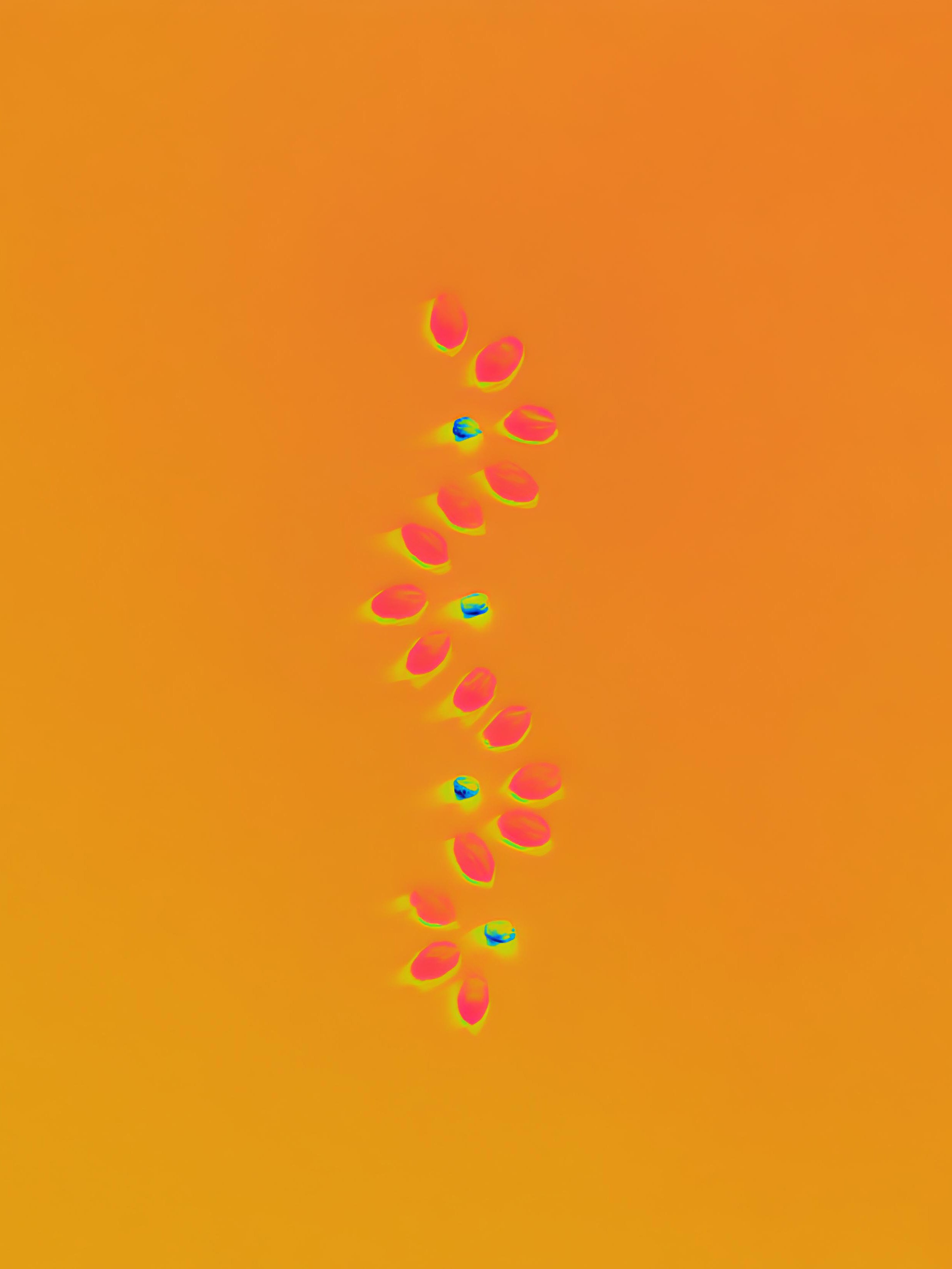 LAYER OF PETALS. Сocoobird || Атмосфера твоего бренда в снимках и видео