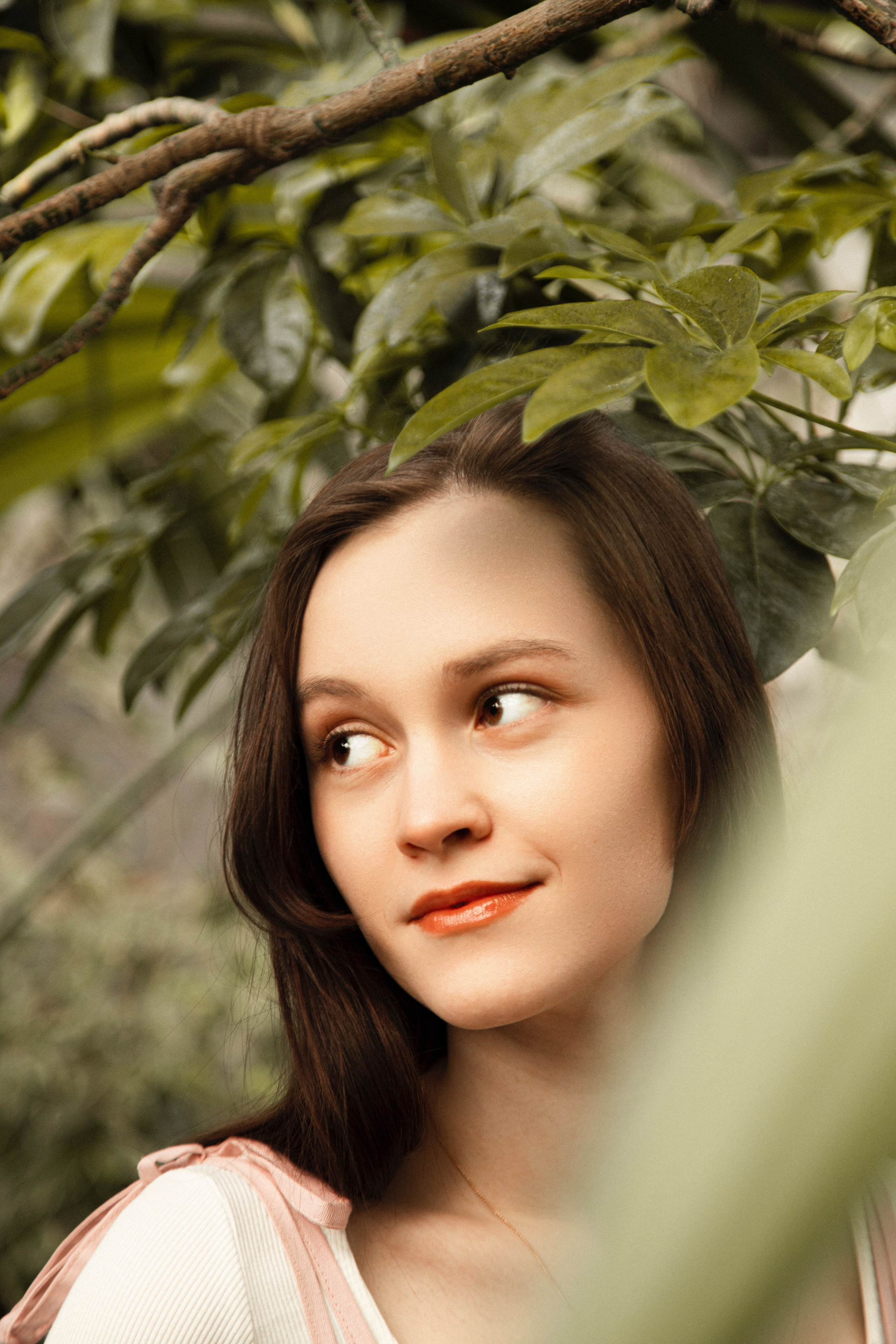 Оранжерея Таврического сада