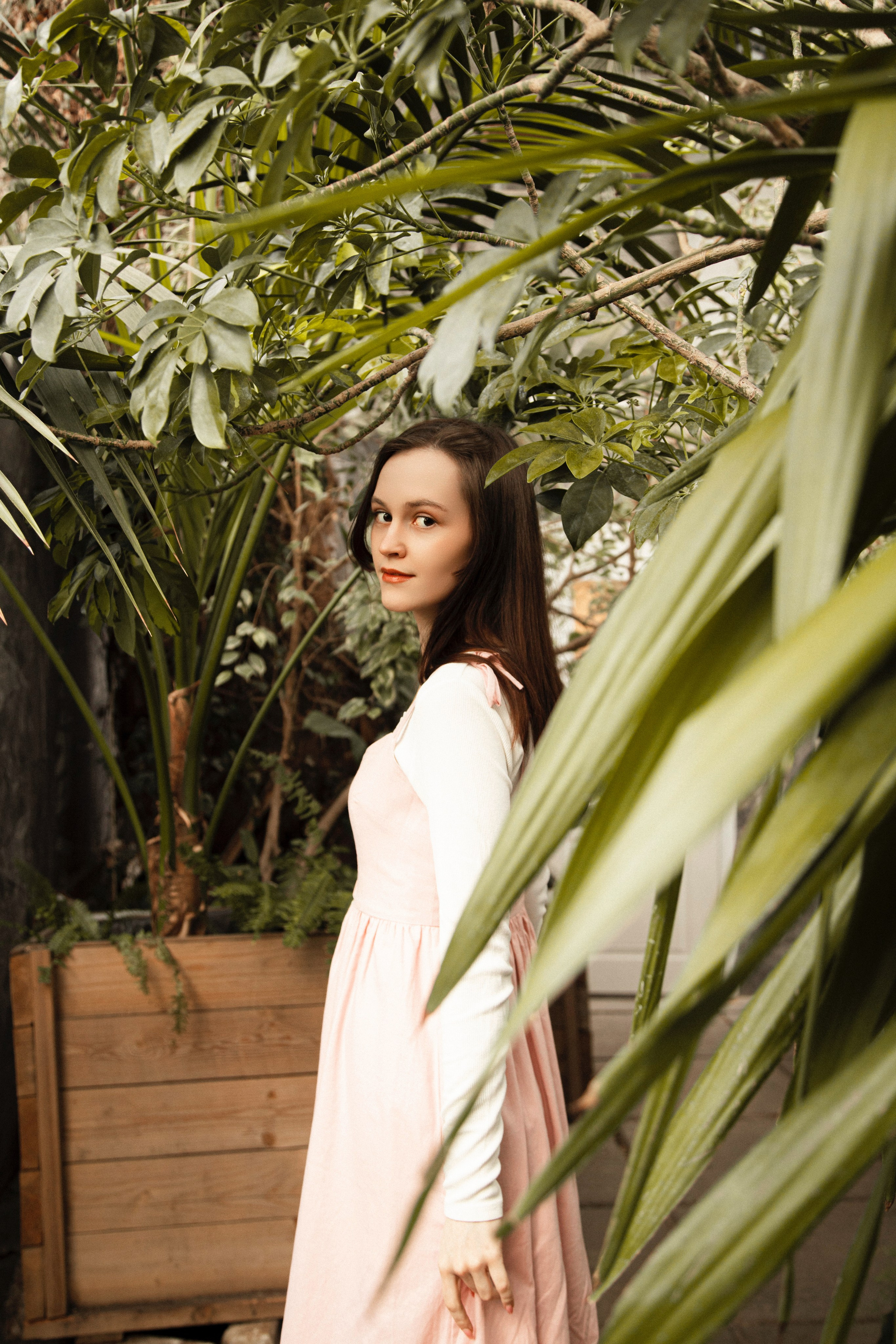 Оранжерея Таврического сада