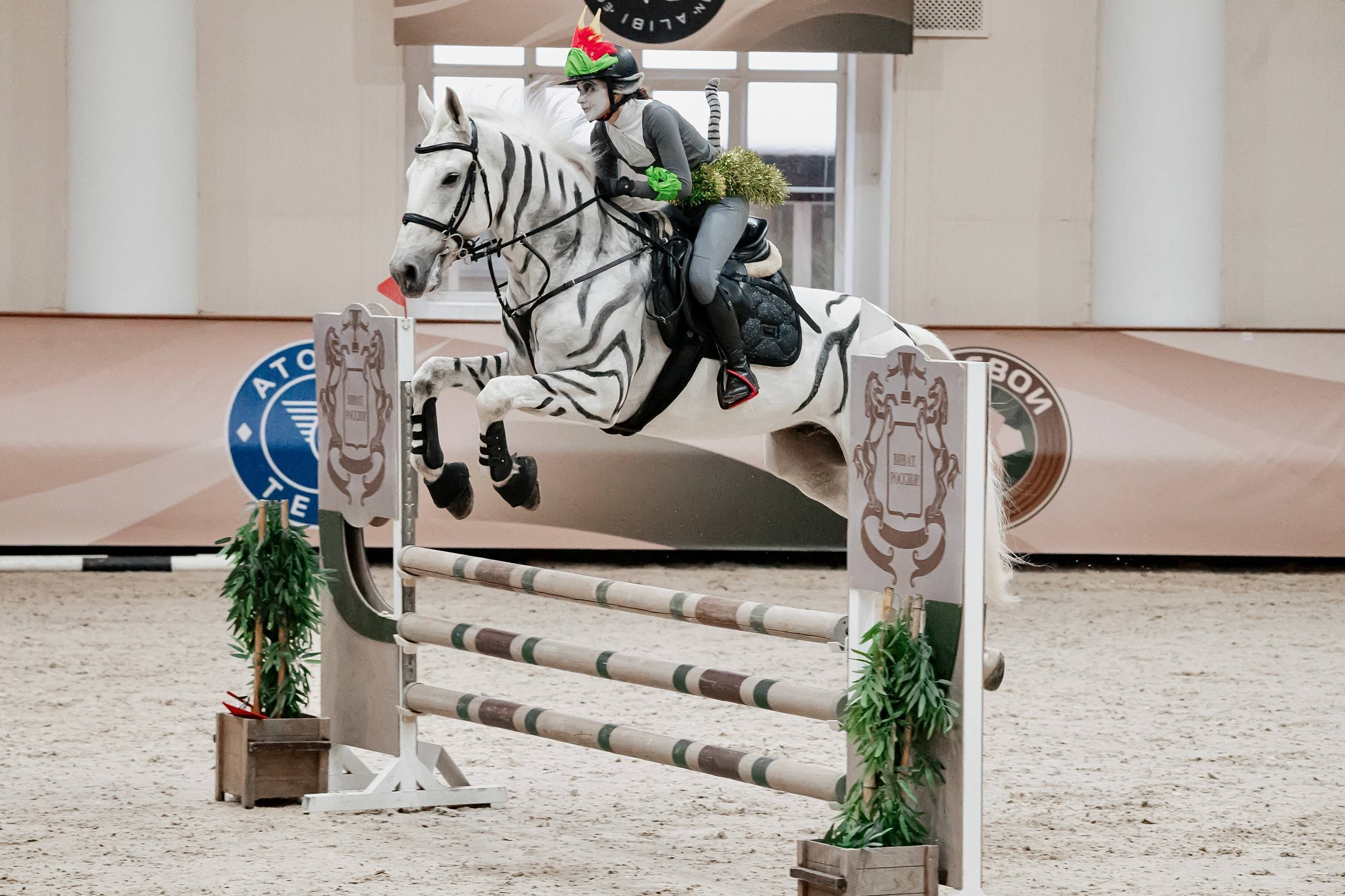 НОВОГОДНИЕ КЛУБНЫЕ СОРЕВНОВАНИЯ ПО КОНКУРУ. Куракина Дарья • Конный фотограф