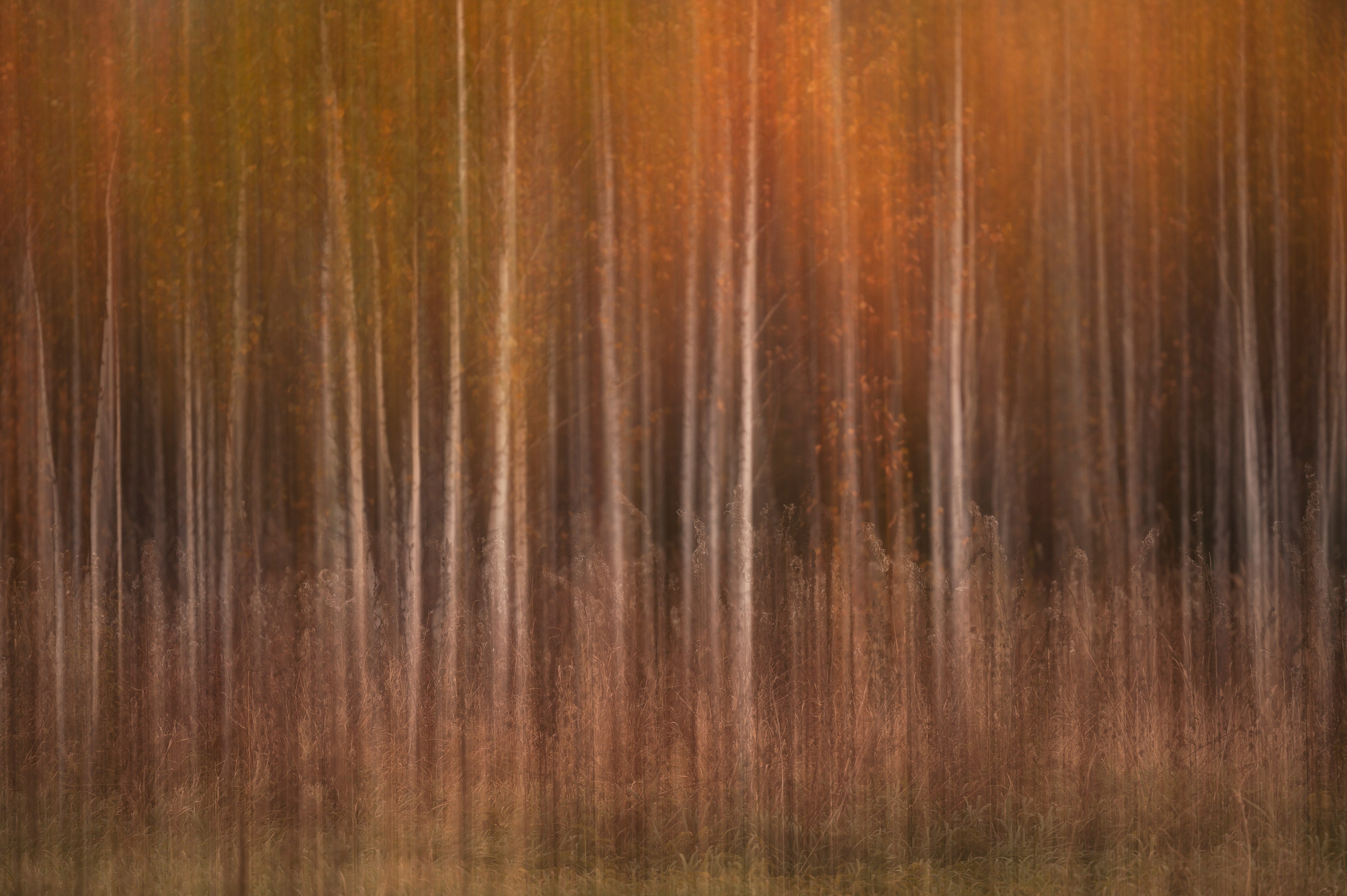 Курганская область. Портретный фотограф в Челябинске Катерина Руди