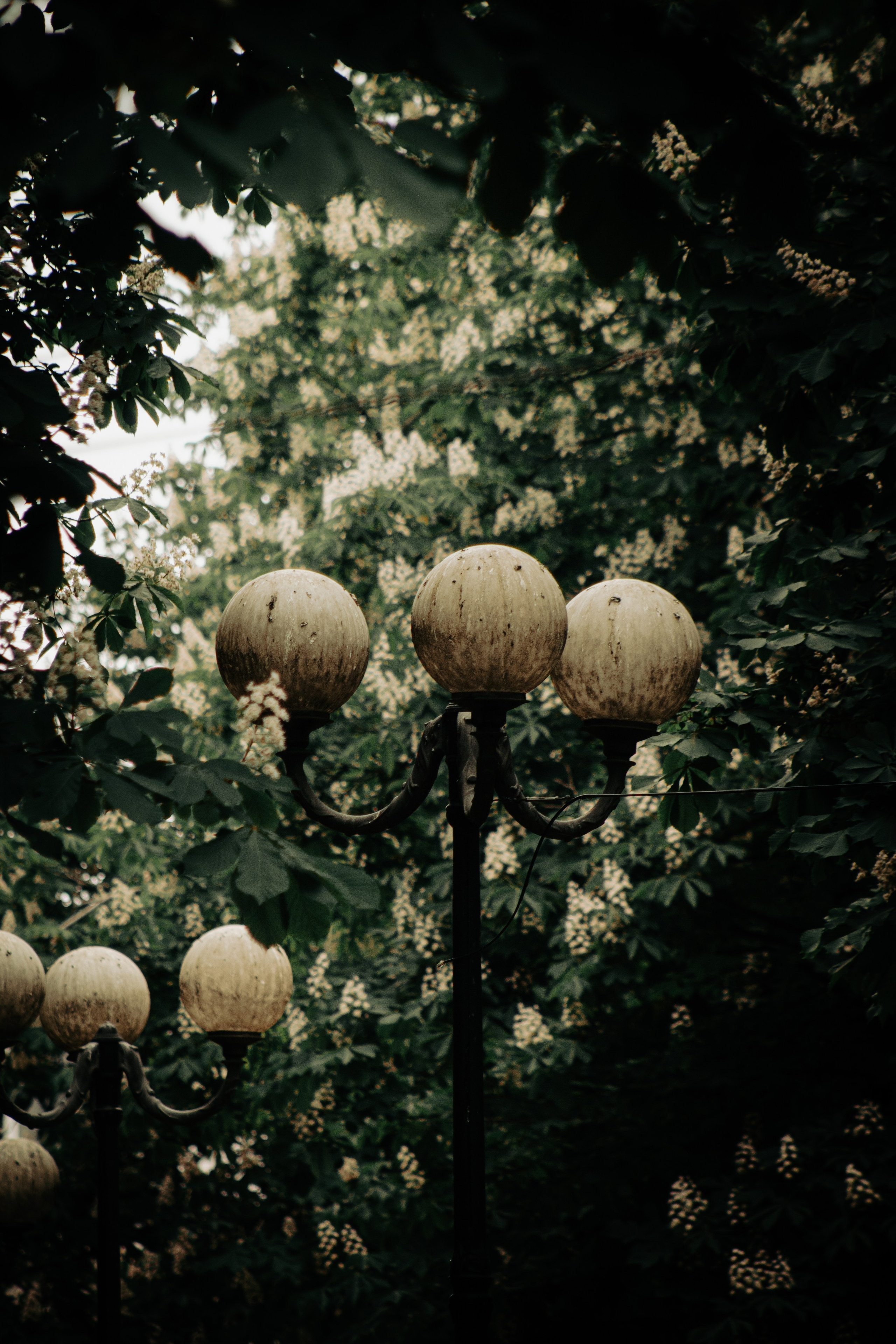 Даниил. Илья Чемис — Фотограф в Мариуполе