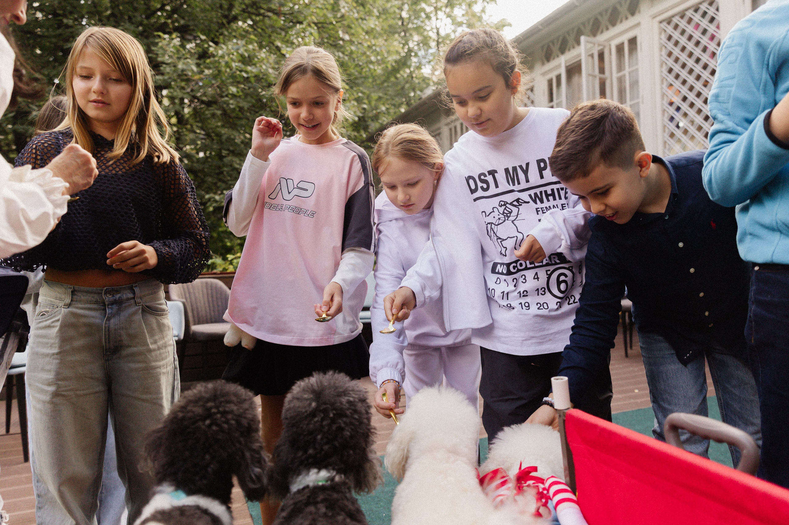 День Рождения Стефы. Татьяна Фомичева. Репортажный и светский фотограф в Москве