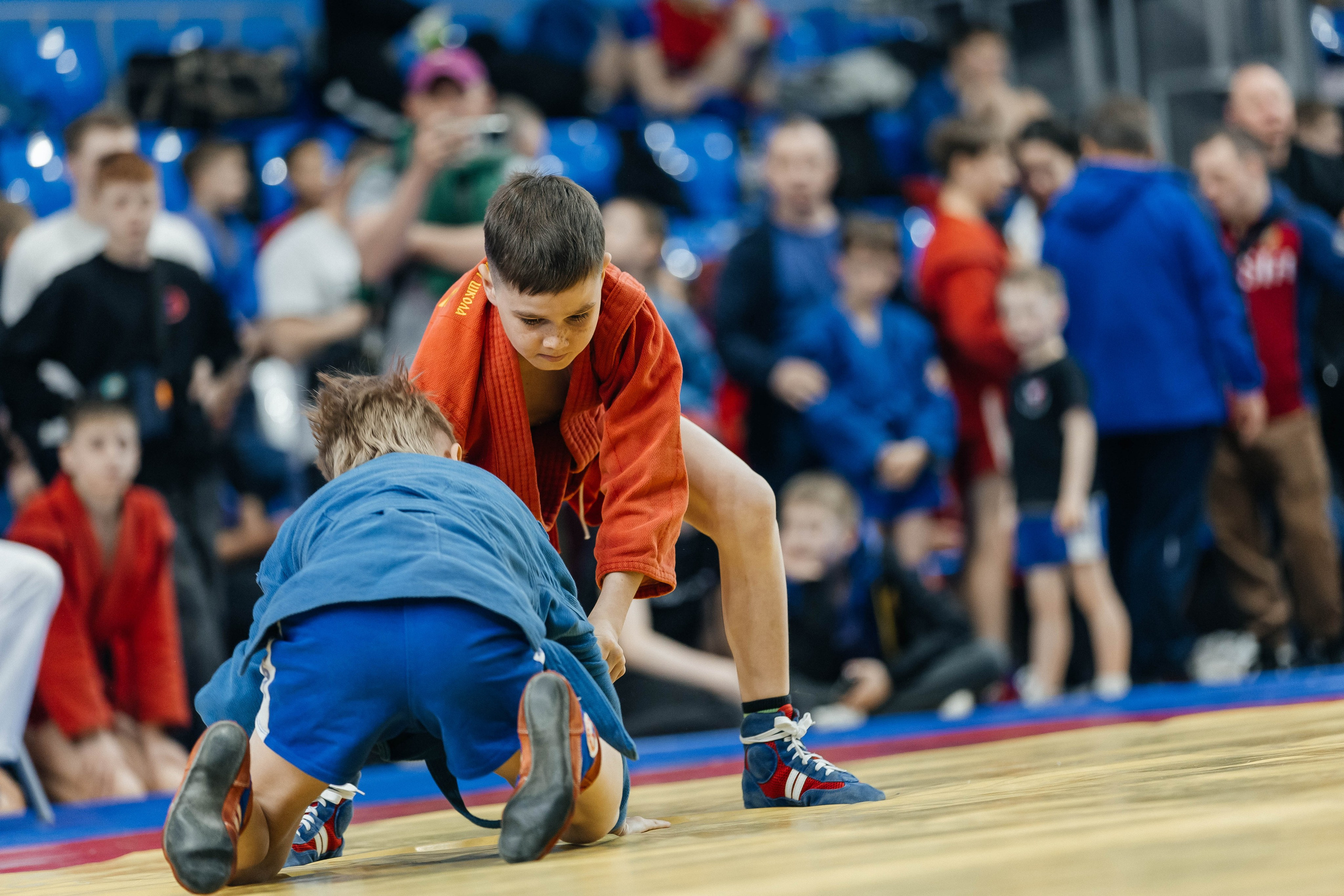 Sambo Championship. Maxim Tsoy Photography