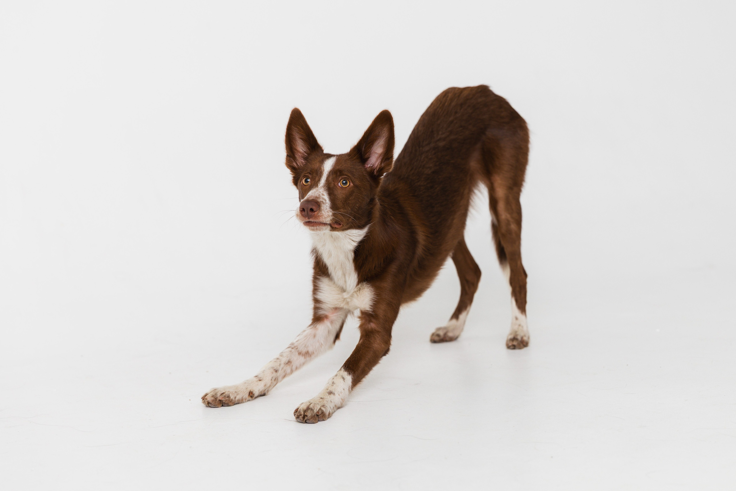 Воркшоп по импульсному свету