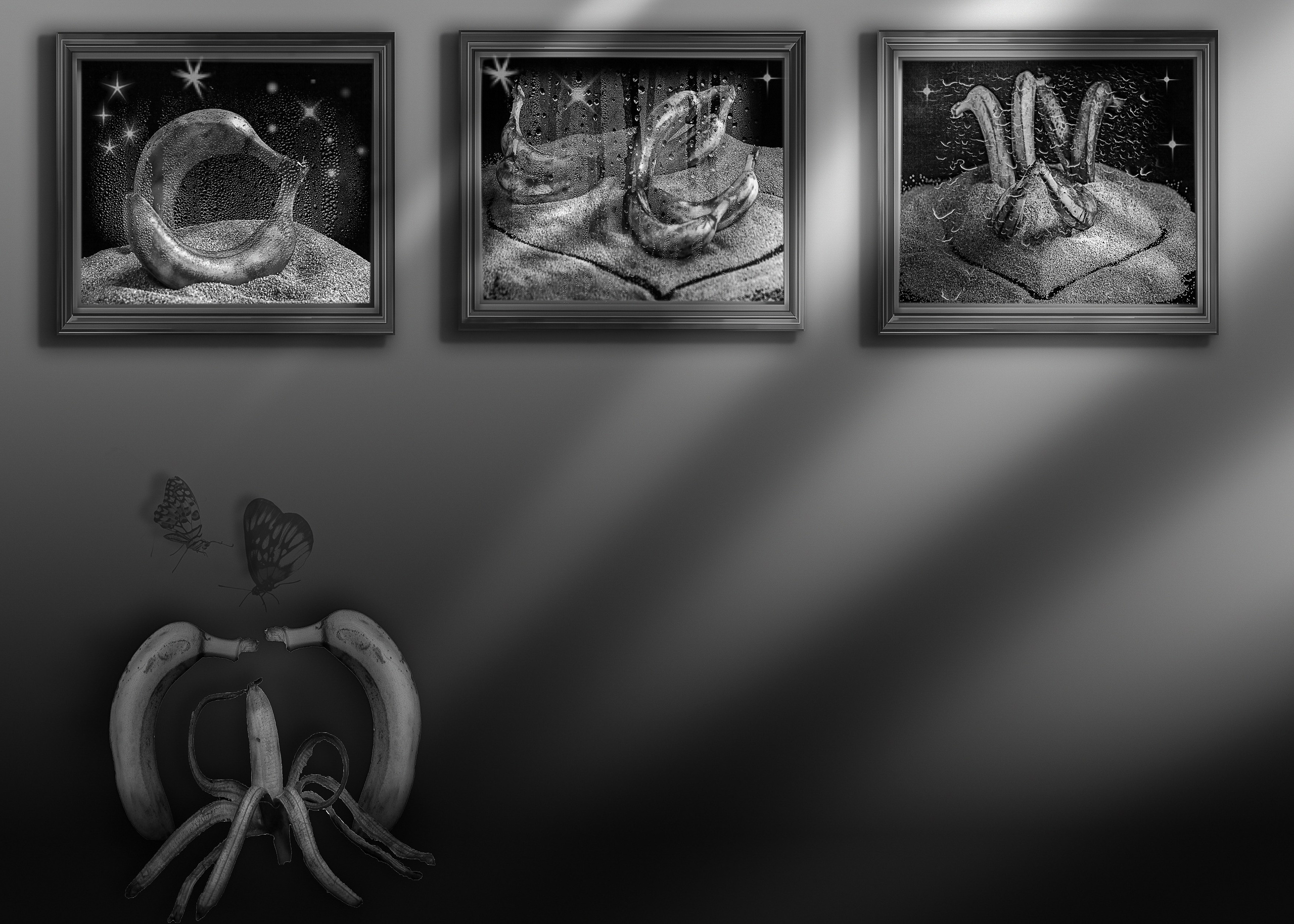 Банановая галлерея. Медиапродюсер, фотограф в Минеральных Водах —Виктор Холодов