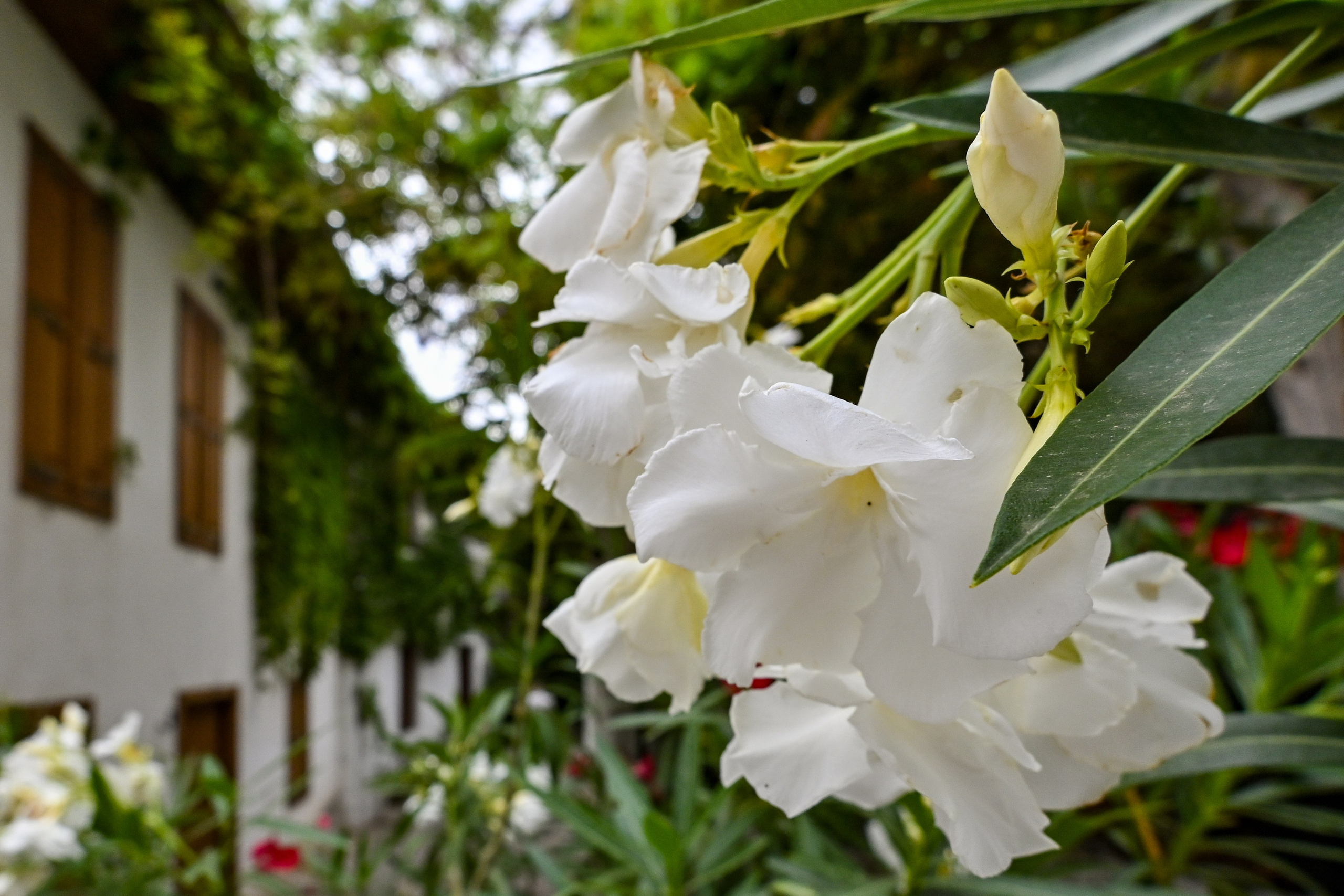 Тревел фото