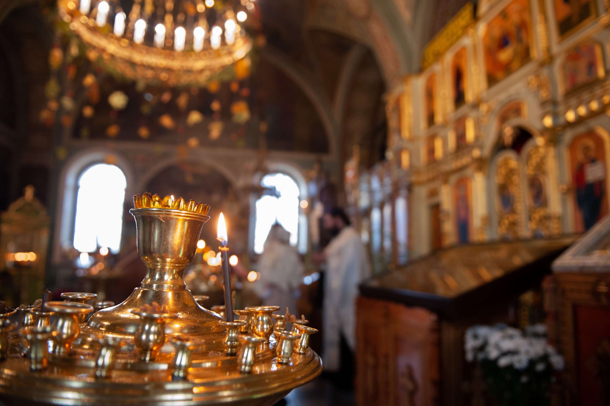 Фотограф Светлана Горлова