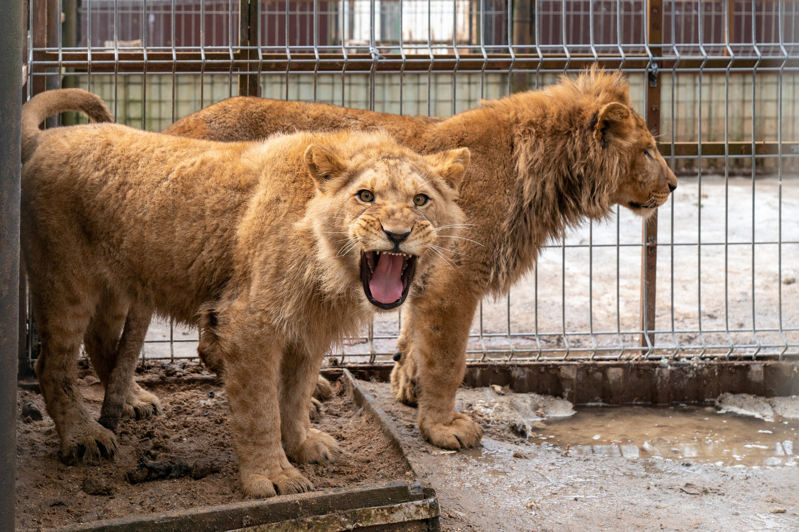 Репортаж. Фотограф в Москве Екатерина Демчук