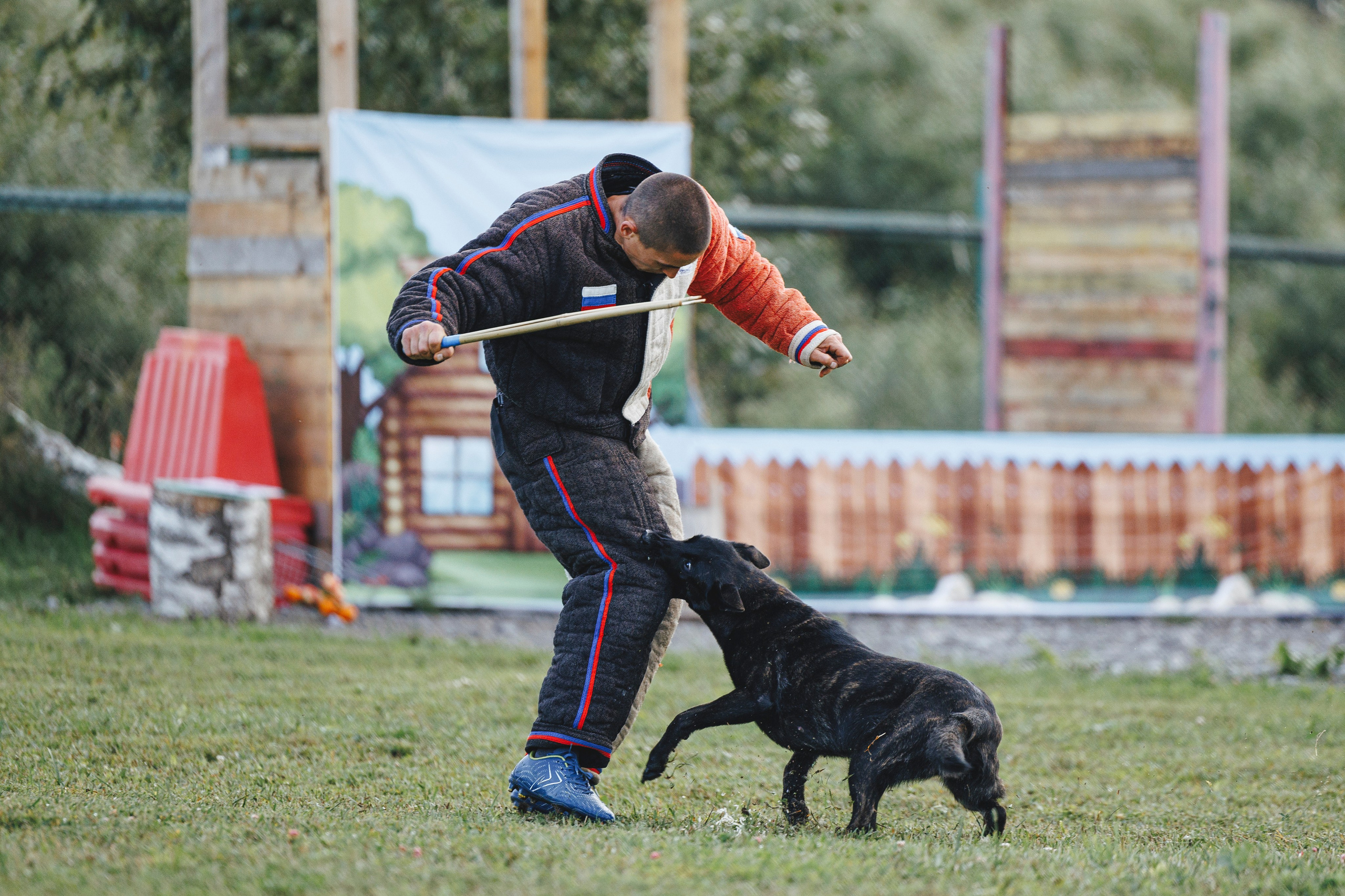 08.08.25-10.08.25 ЧР по мондьорингу г. Вологда. Фотограф-анималист Анна Маринич
