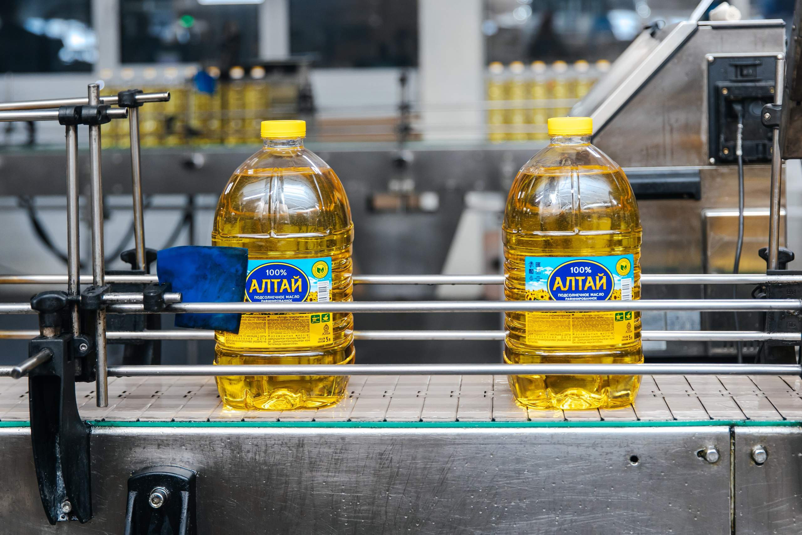 Диво Алтая. Производитель подсолнечного масла. Лихошерстов Андрей — фотограф для бизнеса из Сибири