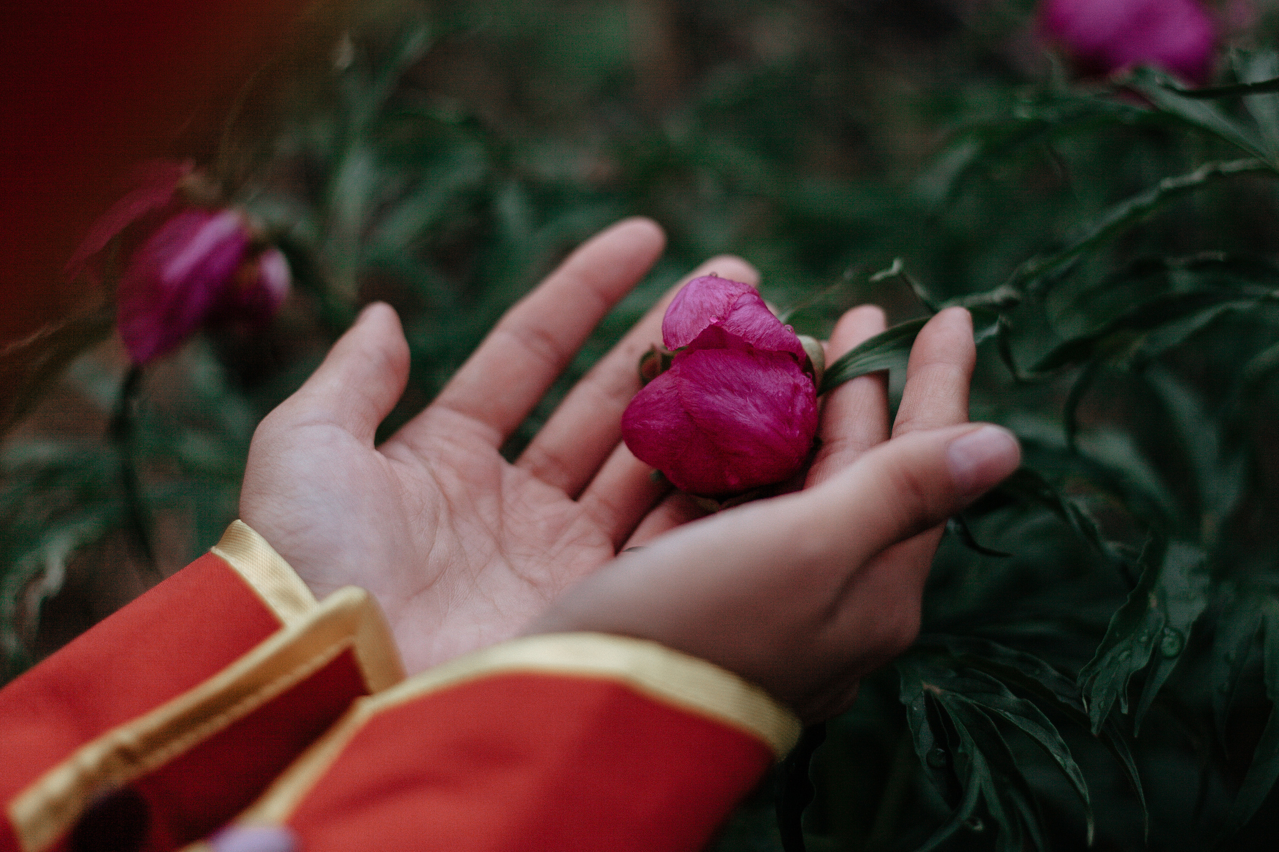 Суркура. Семейный, женский и свадебный фотограф в Билибино и Горном Алтае