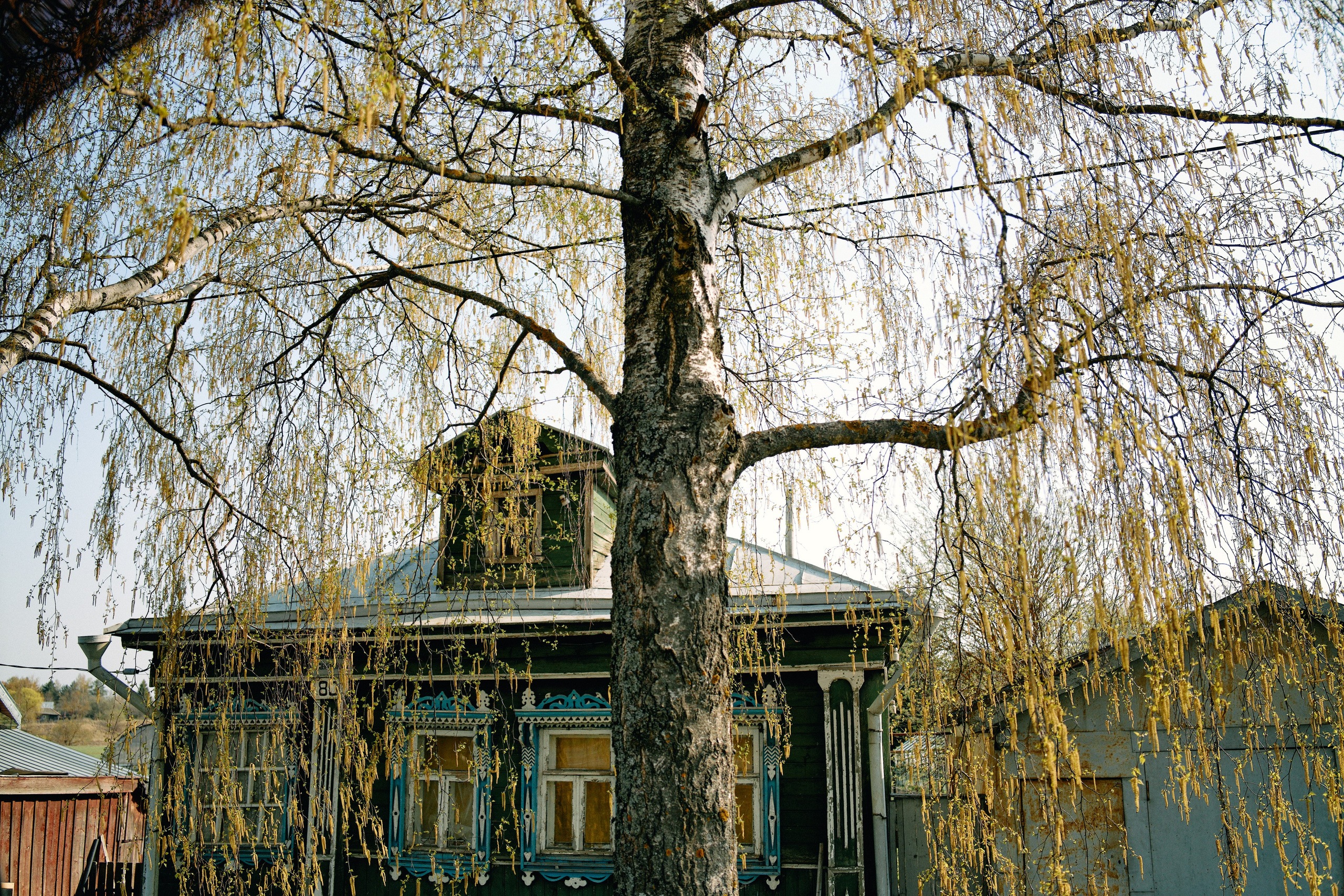 Бутик-отель Поле летом. Профессиональный Фотограф во Владимире, в Москве и в Суздале — Полина Романычева