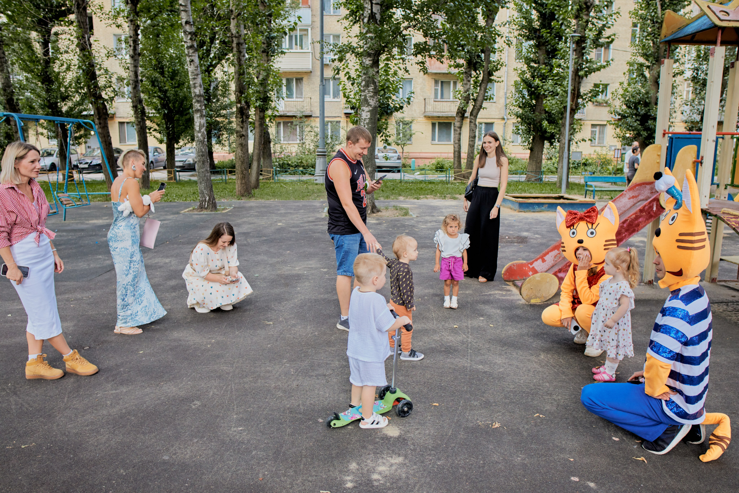 Три кота. Фотограф Москва