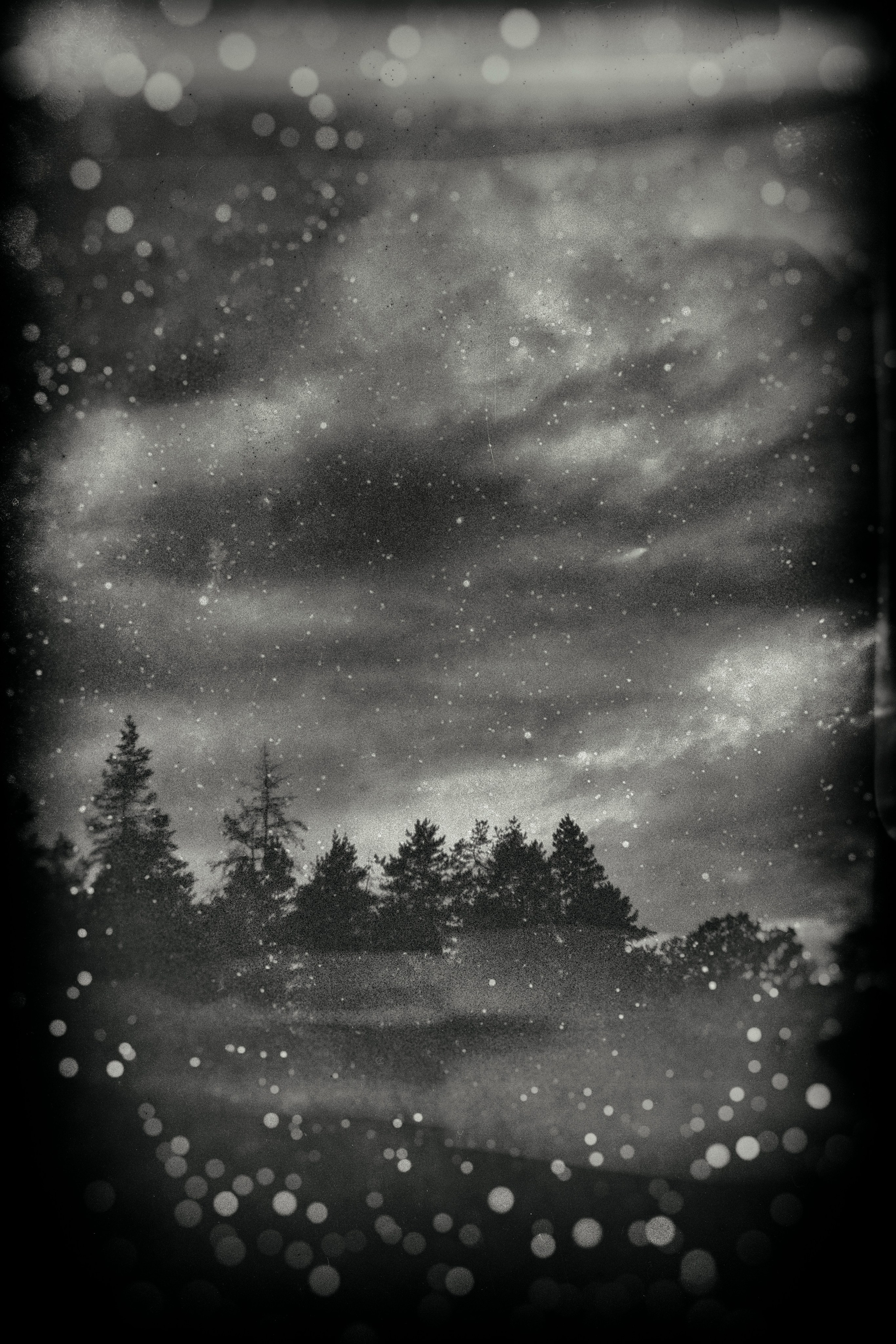 Homeland Adygea. Visual artist