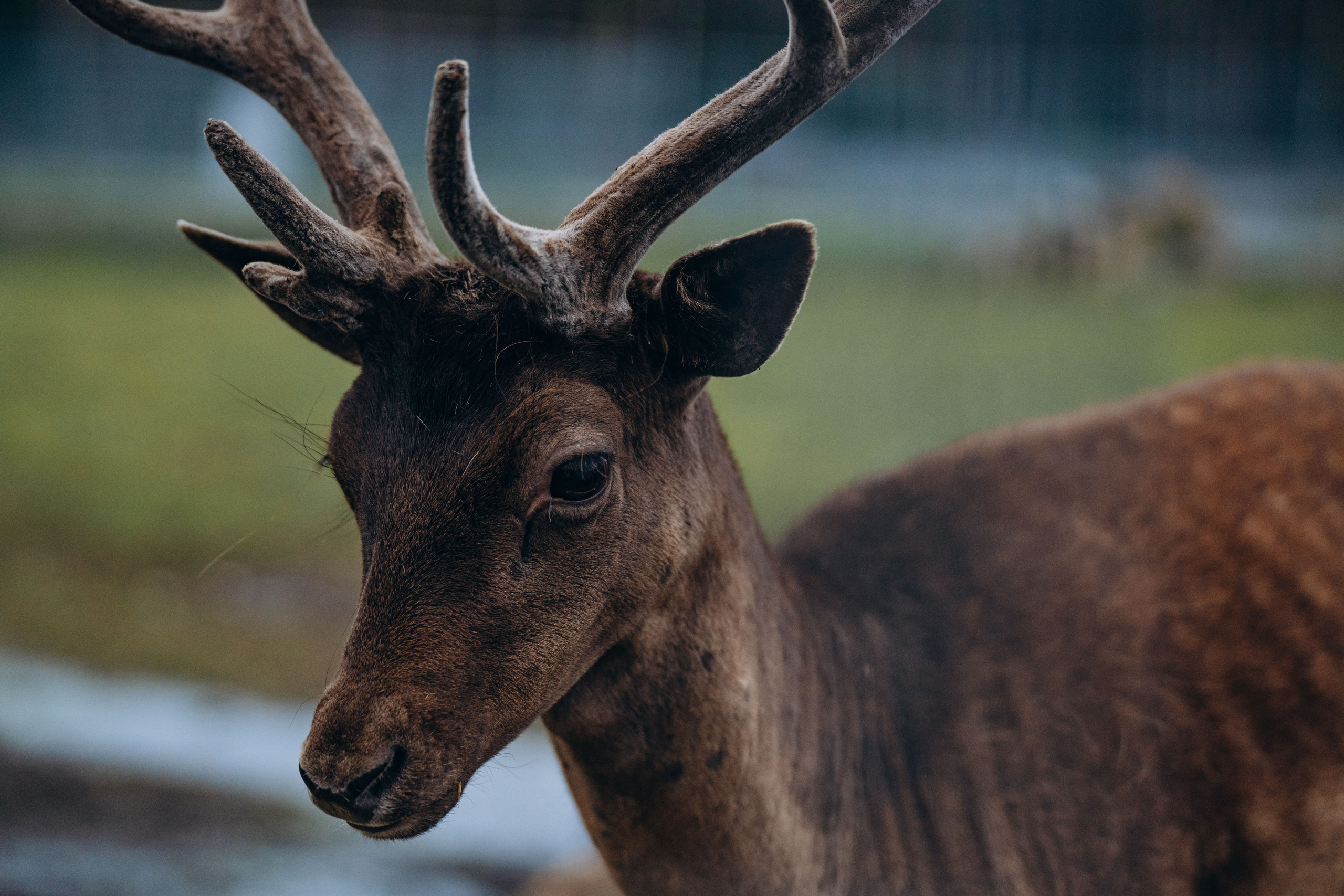 СЕВЕР. Event фотограф Степанова Александра