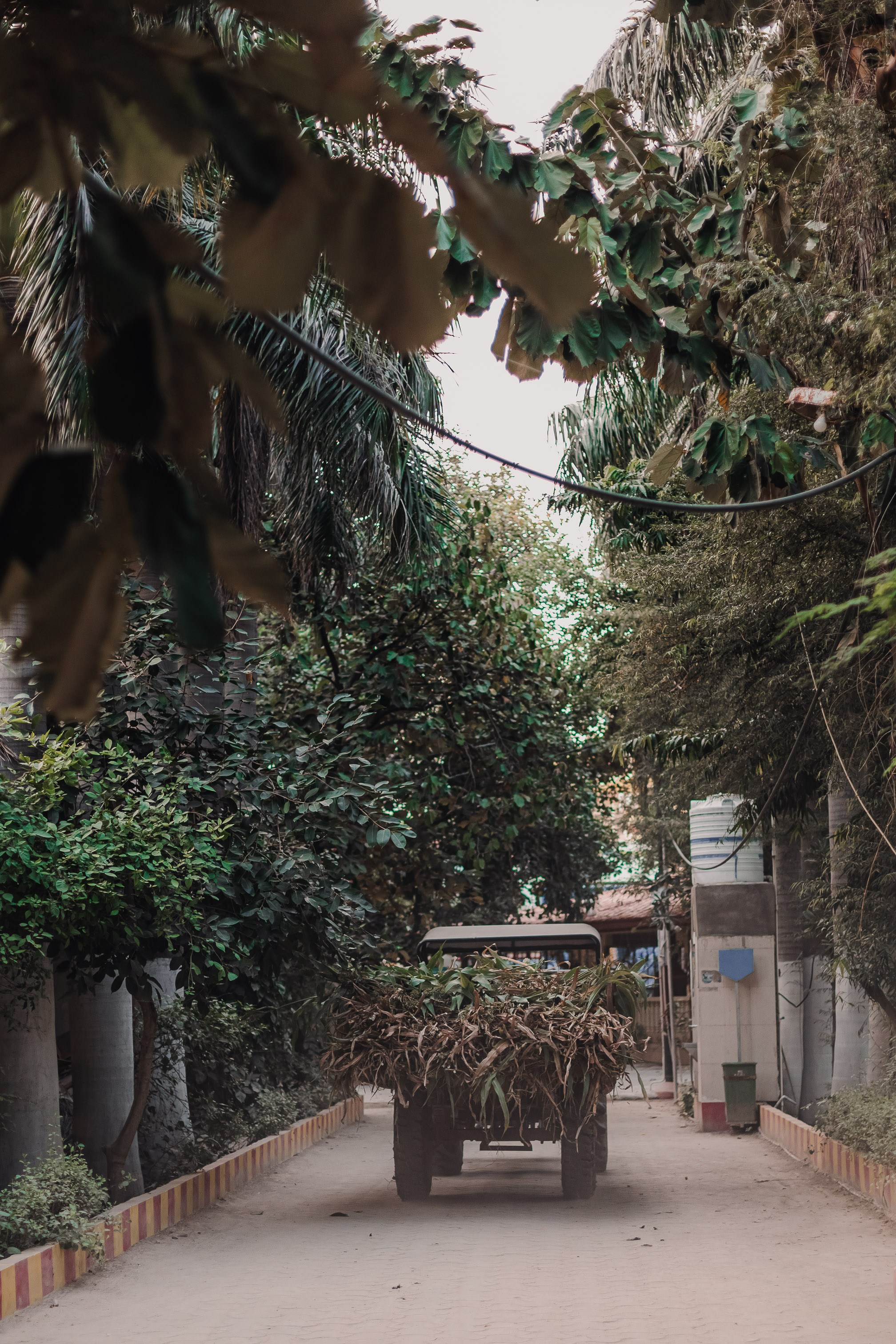 Devraha Baba Ji Ashram in Vrindavan. Мариам Багдасарян